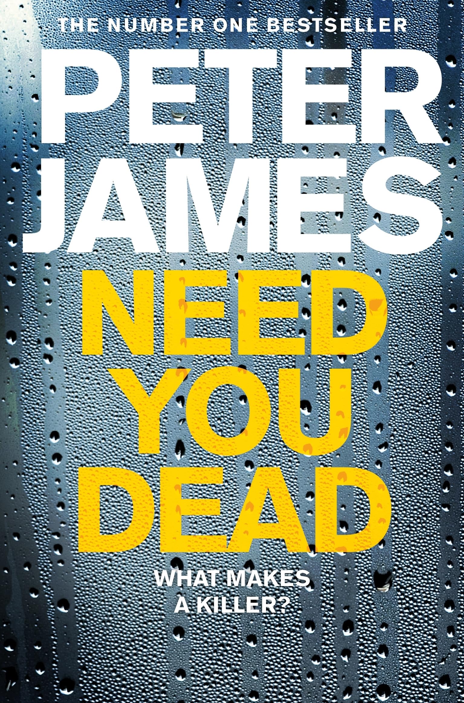Need You Dead: A Creepy British Crime Thriller: 13 (Roy Grace, 13)