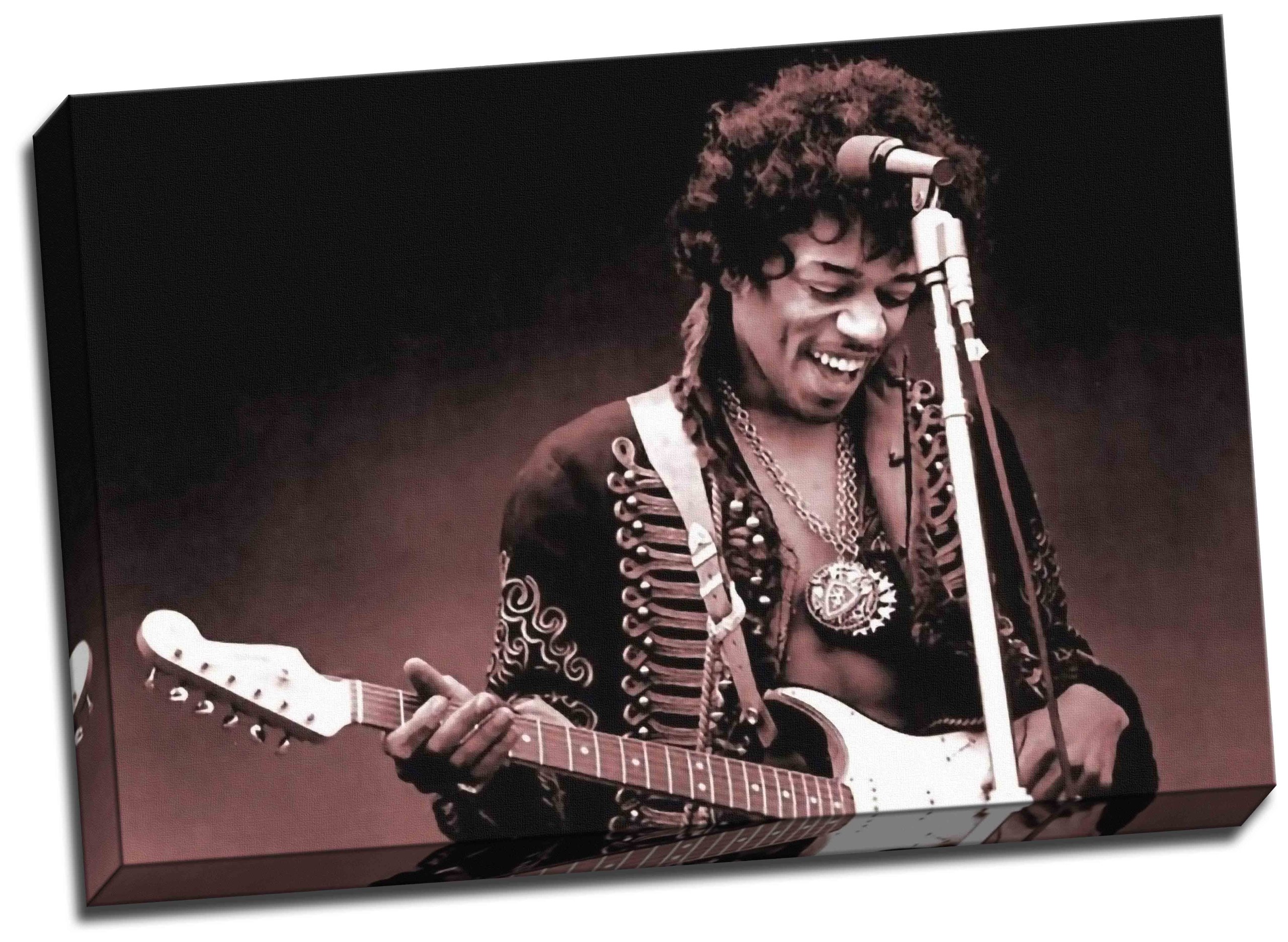 Panther Print Multi-Color Jimi Hendrix Canvas Art Print Framed Picture Large 20X30 Inches A1