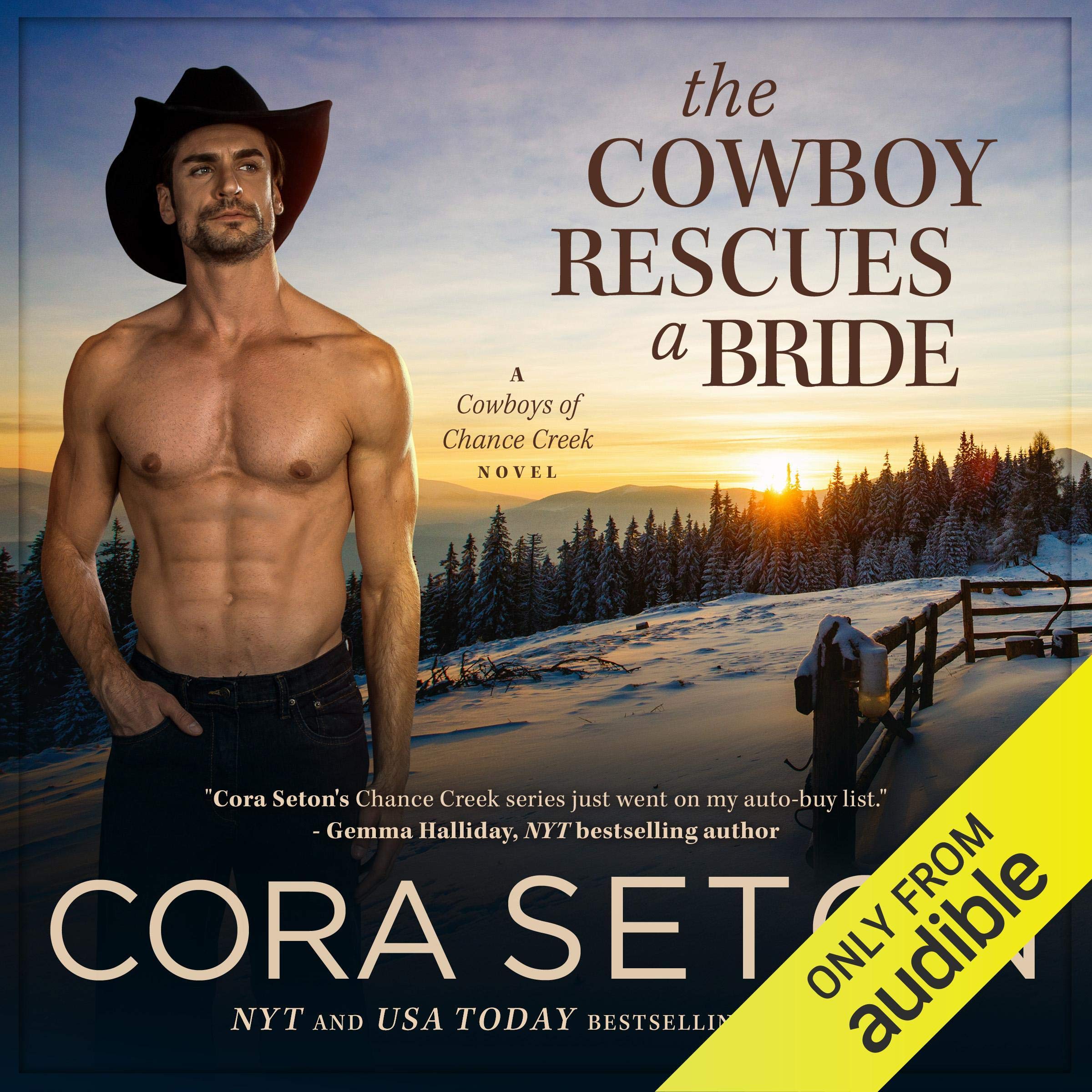 Cover art for The Cowboy Rescues a Bride