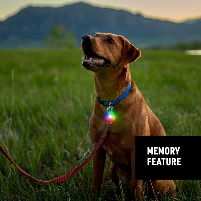 Foto 8 de 8 de Nite Ize SpotLit - Luz de collar recargable para mascotas, con clip, resistente a la intemperie, cuatro…