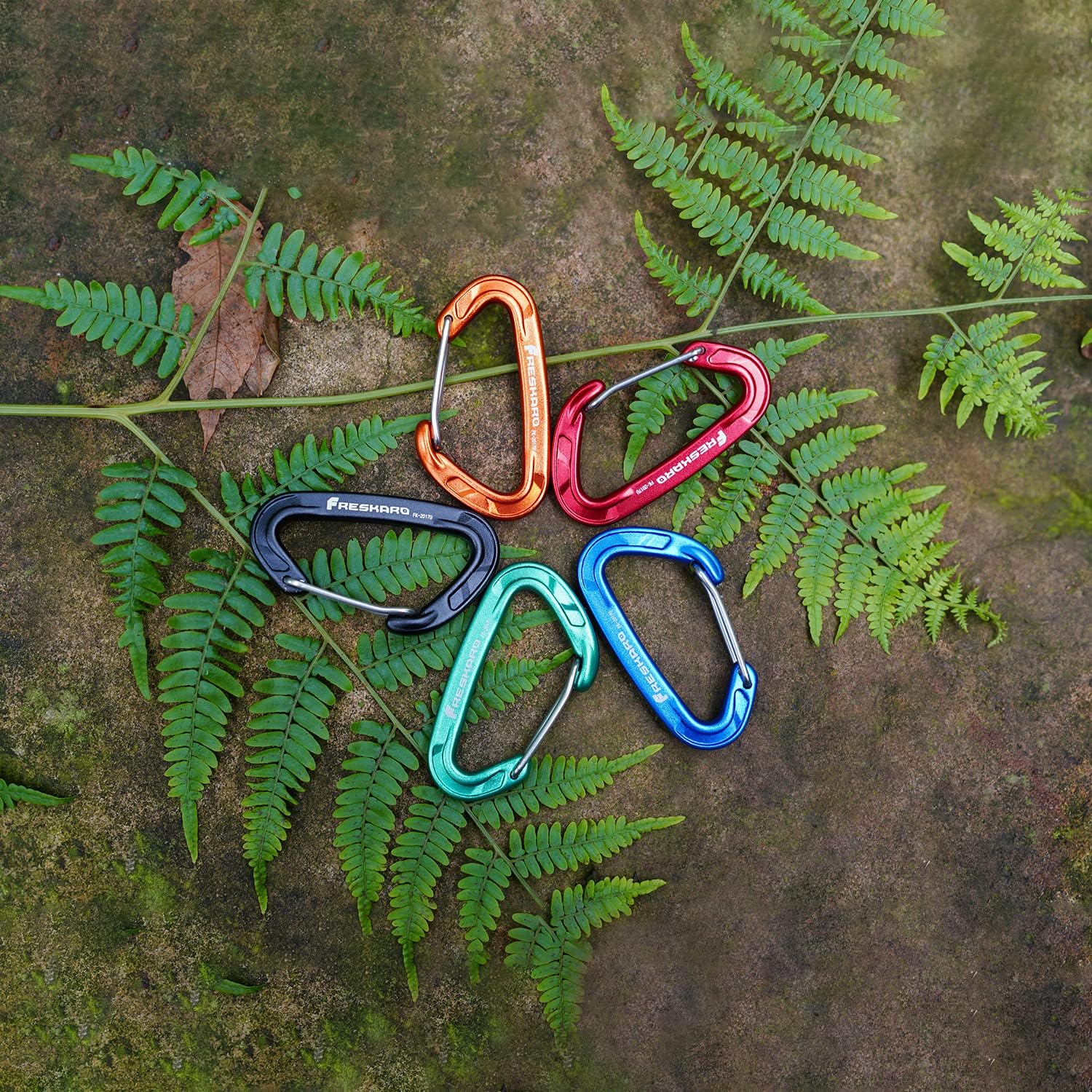 FresKaro 5pcs caribeener clips, Wiregate Carabiner Heavy Duty, Small Sturdy Key Keychain Accessory, Not for Climbing, Mini Size, Ultra Light, For Hiking, Camping, Fishing, Outdoor, Backpack, Blue : Sports & Outdoors