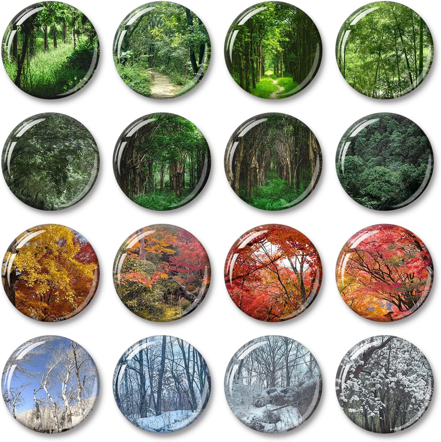 16 Pcs Resin Fridge Magnets, Seasons of the Forest Magnets