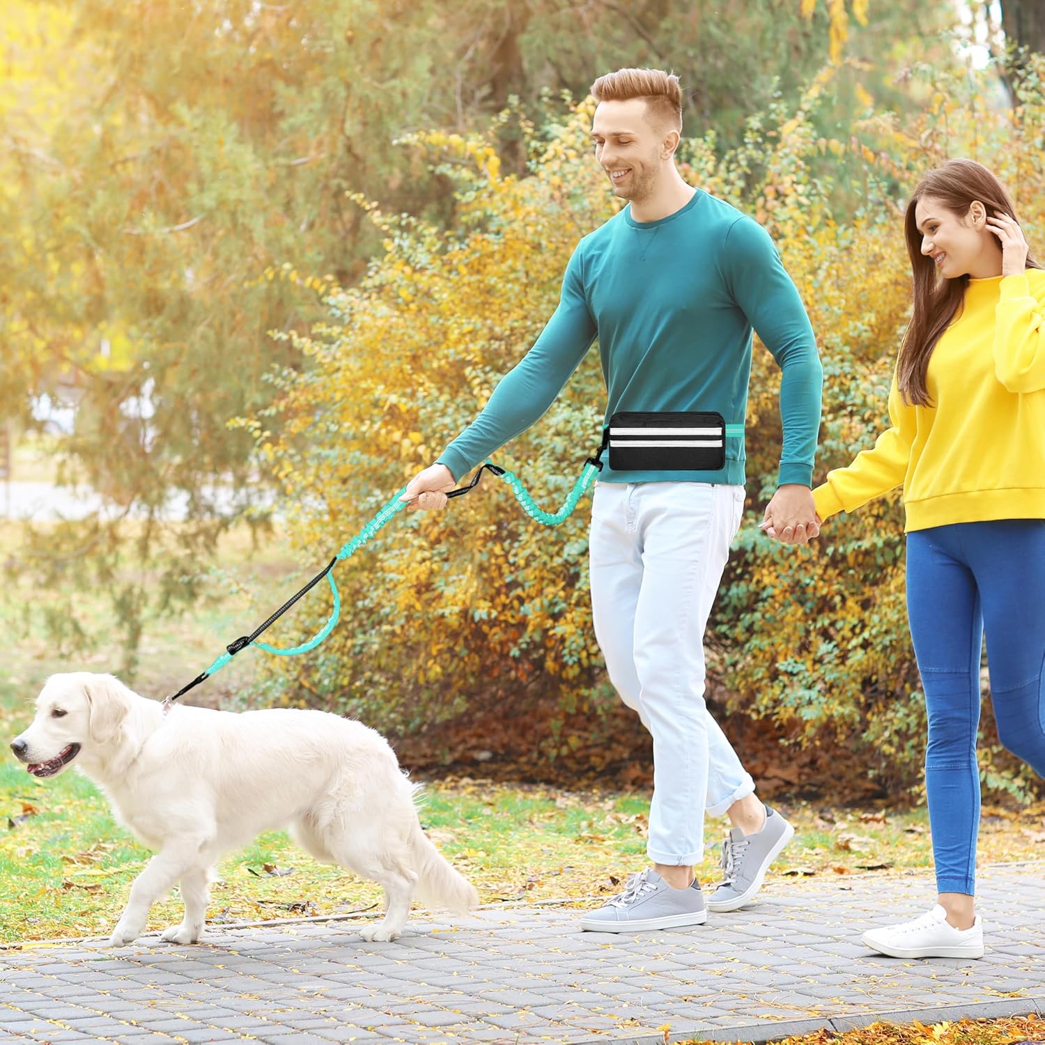 Hands Free Dog Leash with Zipper Pouch, Running Waist Leash for Dog Walking, Adjustable Waist Belt for Large Dogs, Reflective Bungee Design with Two Handle for Hiking, Training, Teal