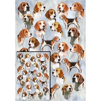 beagle gift items
