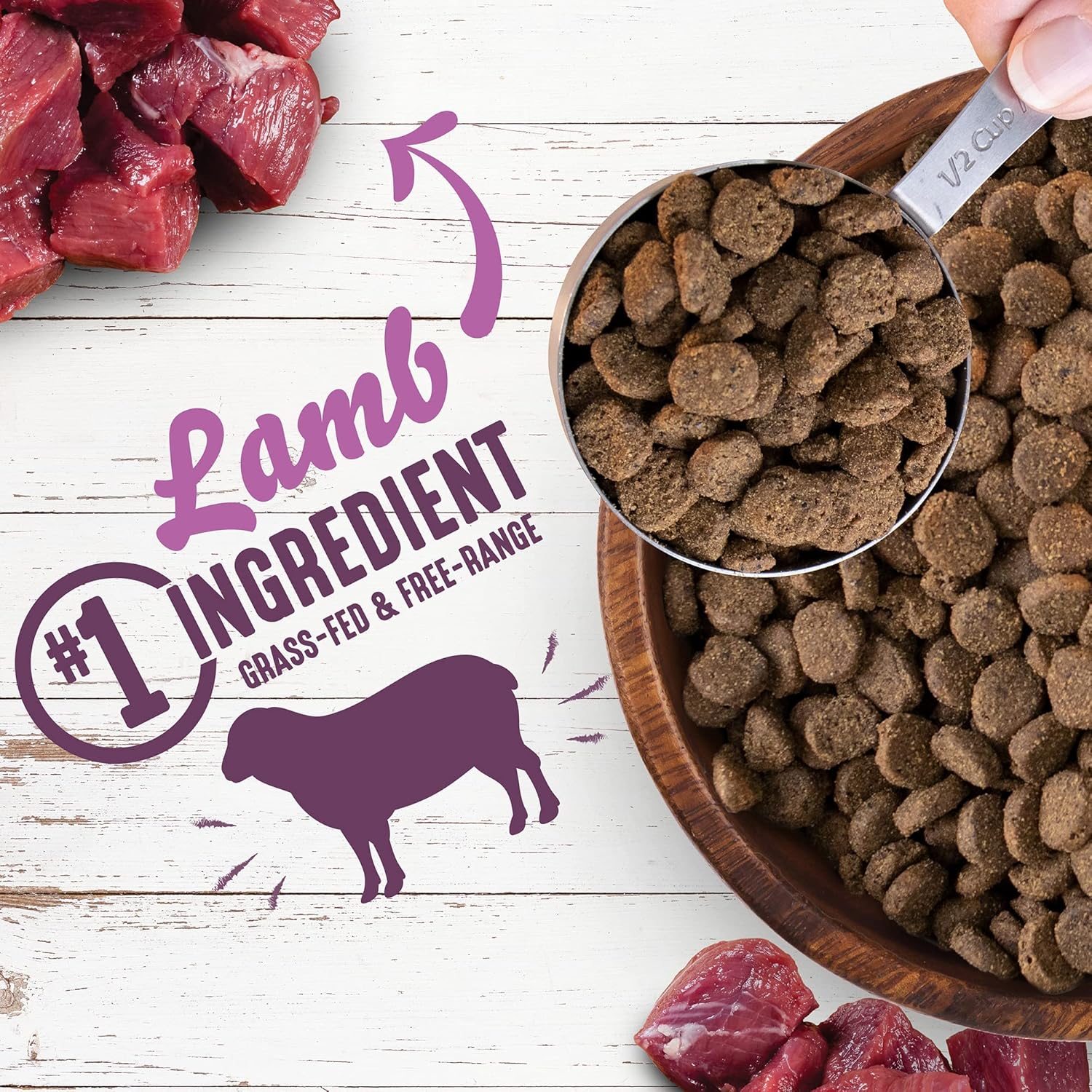Earthborn Holistic Unrefined Roasted Lamb with Ancient Grains & Superfoods Dry Dog & Puppy Food, 25 lb.