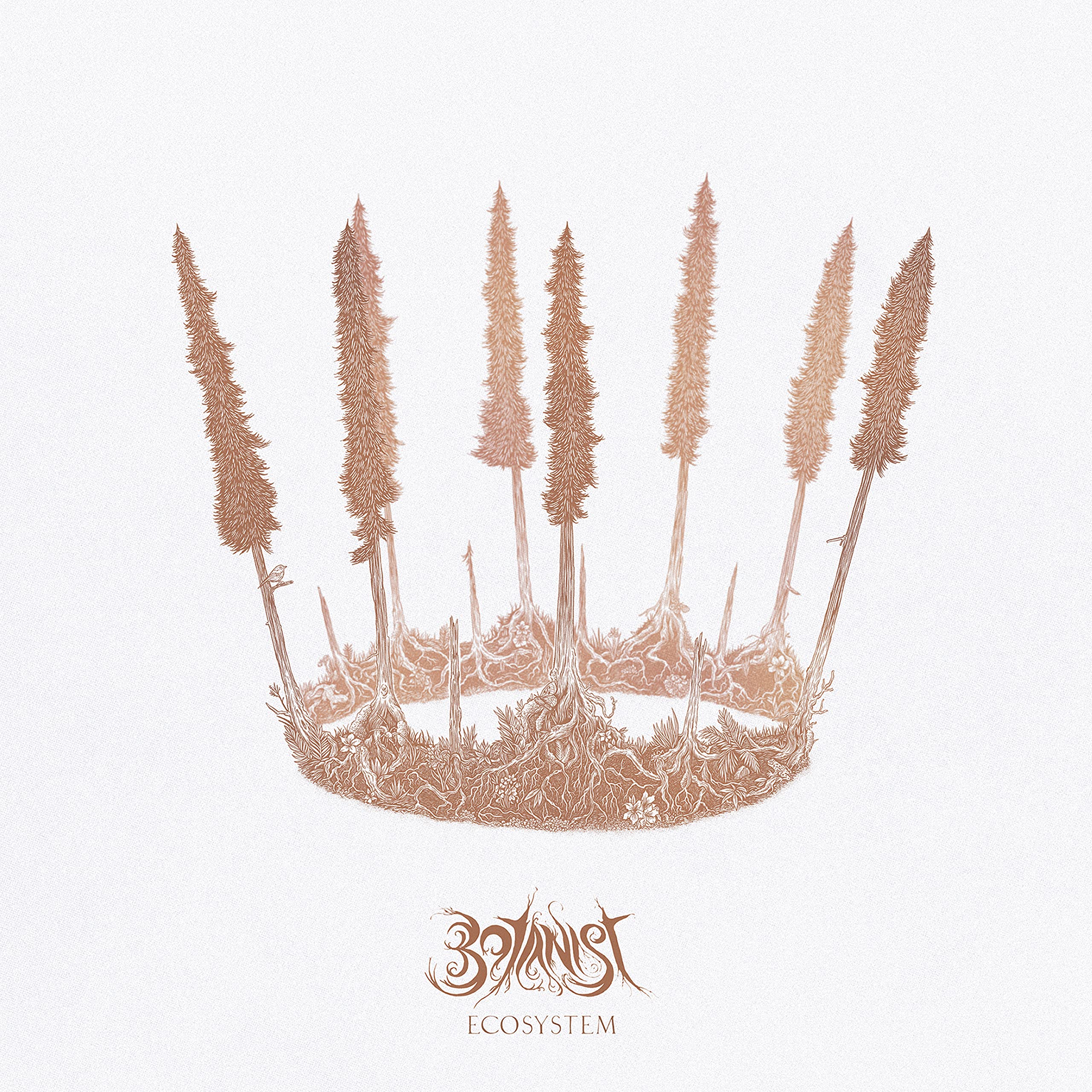 Ecosystem [VINYL]