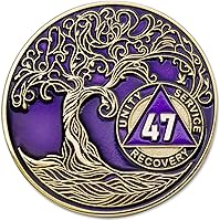 Vista 247 de Medallón AA de 5 años – Árbol de la Vida trenzado chapado en oro AA Chip de recuperación – morado