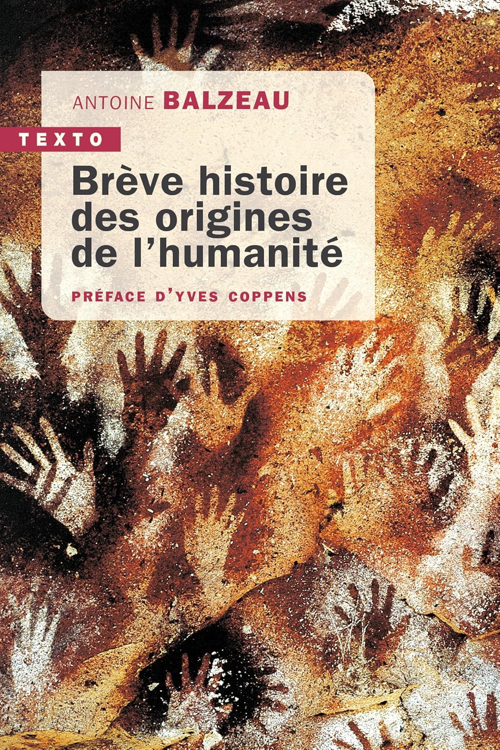 Détecteur adulte