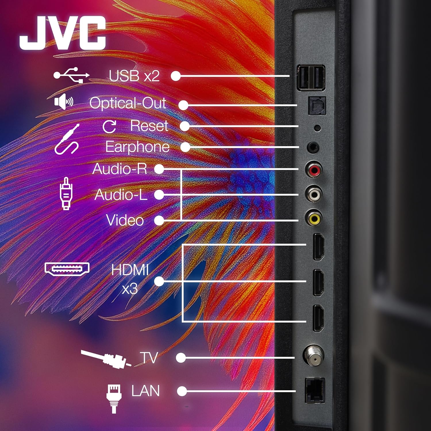 വിശദമായി view of the JVC TV's rear panel, highlighting various input and output ports such as USB, Optical-Out, Earphone, Audio R/L, Video, HDMI, TV antenna, and LAN.