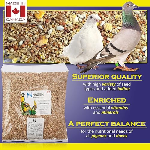 Vista 16 de Hagen Pigeon & Dove Seed, fórmula original para aves, bolsa de 6 libras, mezcla de semillas nutricionalmente completa con vitaminas y minerales