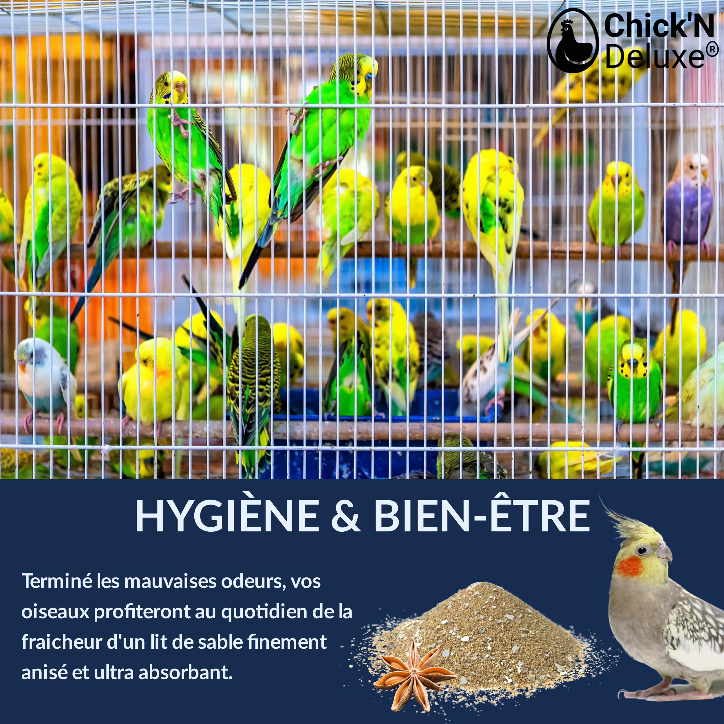 Chick'N Deluxe® Ideal Sand 5Kg. Sable Marin pour Fond de Cage à Oiseaux. Enrichi de coquilles d'huitres broyées et aromatisé à l'Anis. Produit 100% Naturel pour l'hygiène et la santé de Vos Animaux.