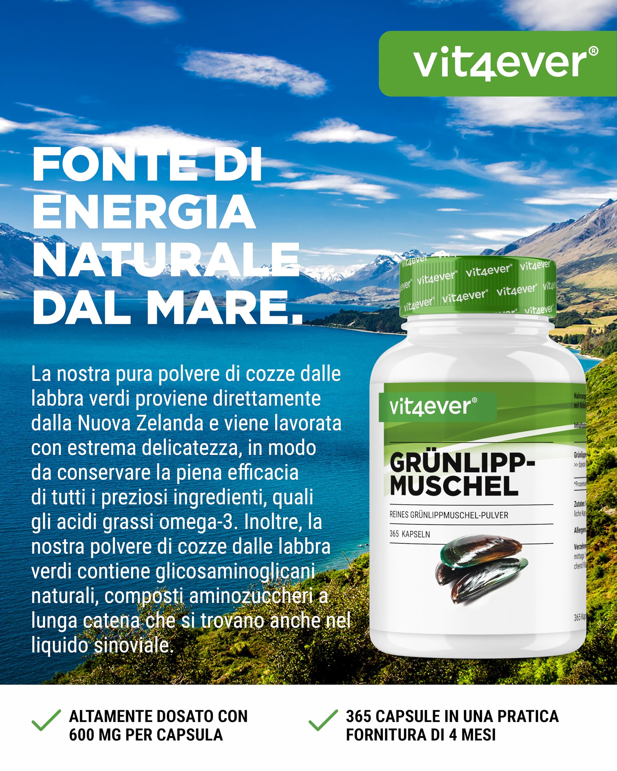 Cozza dalle labbra verdi - 365 capsule da 600 mg ciascuna - Con glicosaminoglicani - Estratto ad alto dosaggio - 100% polvere di cozza dalle labbra verdi della Nuova Zelanda senza additivi