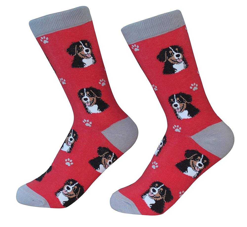 30 Best Gifts for a Bernese Mountain Dog Owner - iHeartDogs.com 14