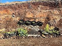 Review Image by Tristen E. Tristen E.