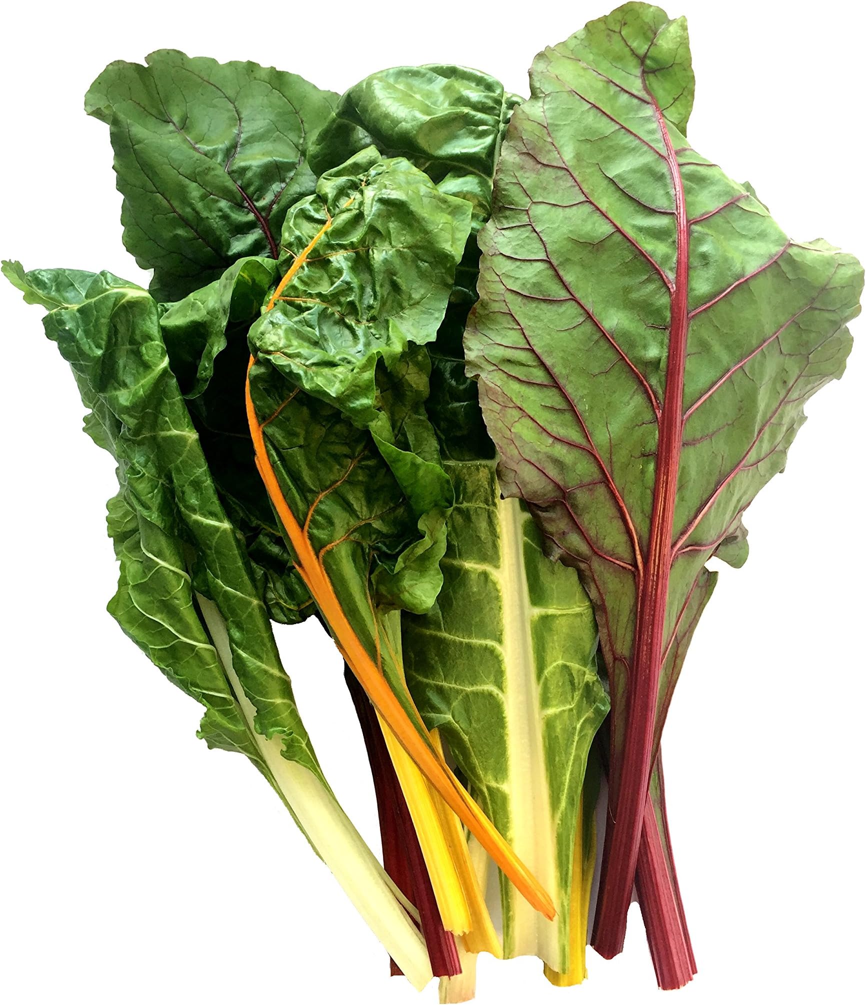 Wonderfully Curious Rainbow Swiss Chard, 200g
