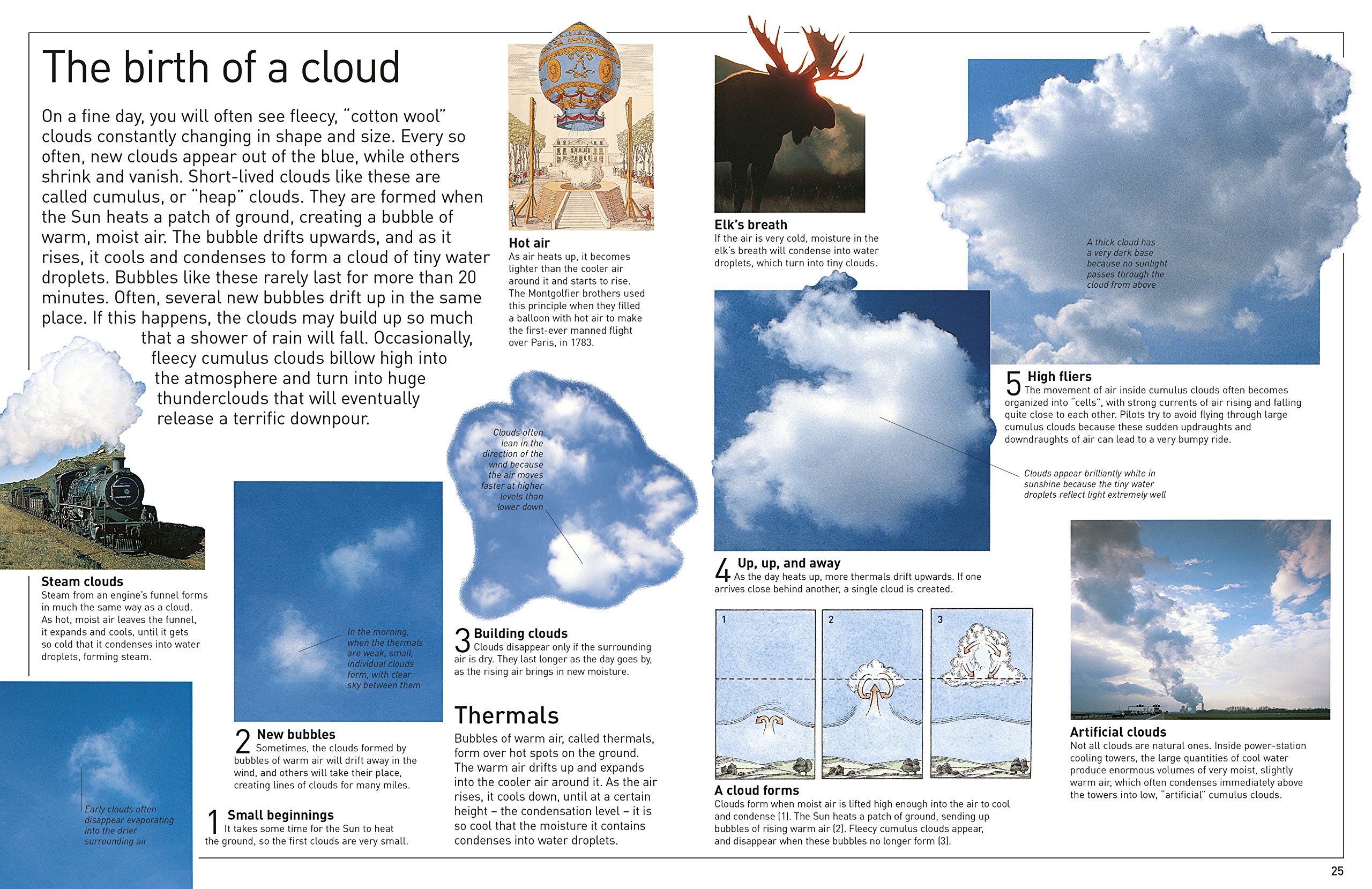 Weather (DK Eyewitness)