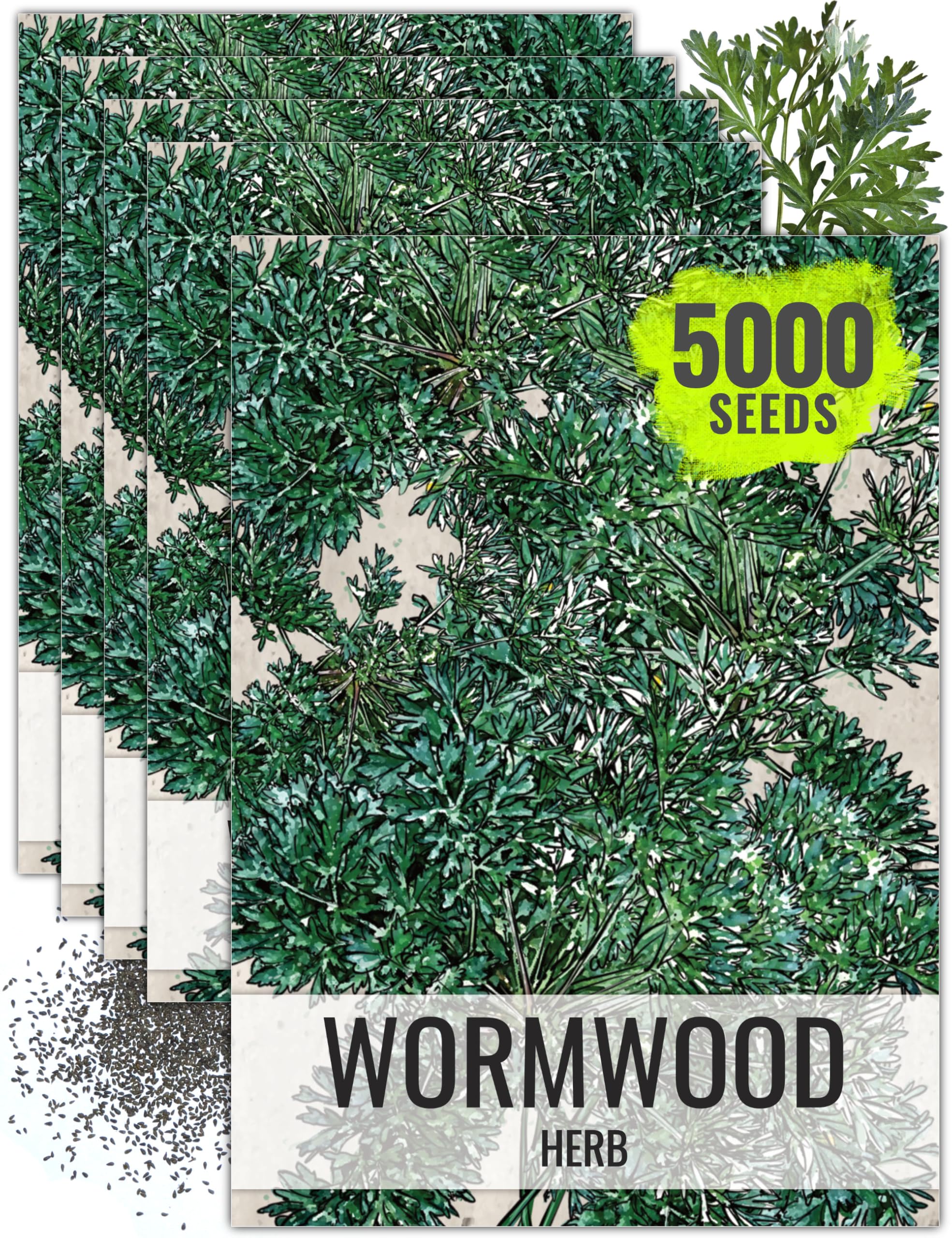 Seed Needs Wormwood Seeds