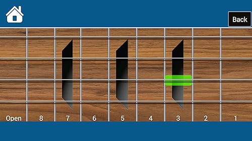 Bass Guitar