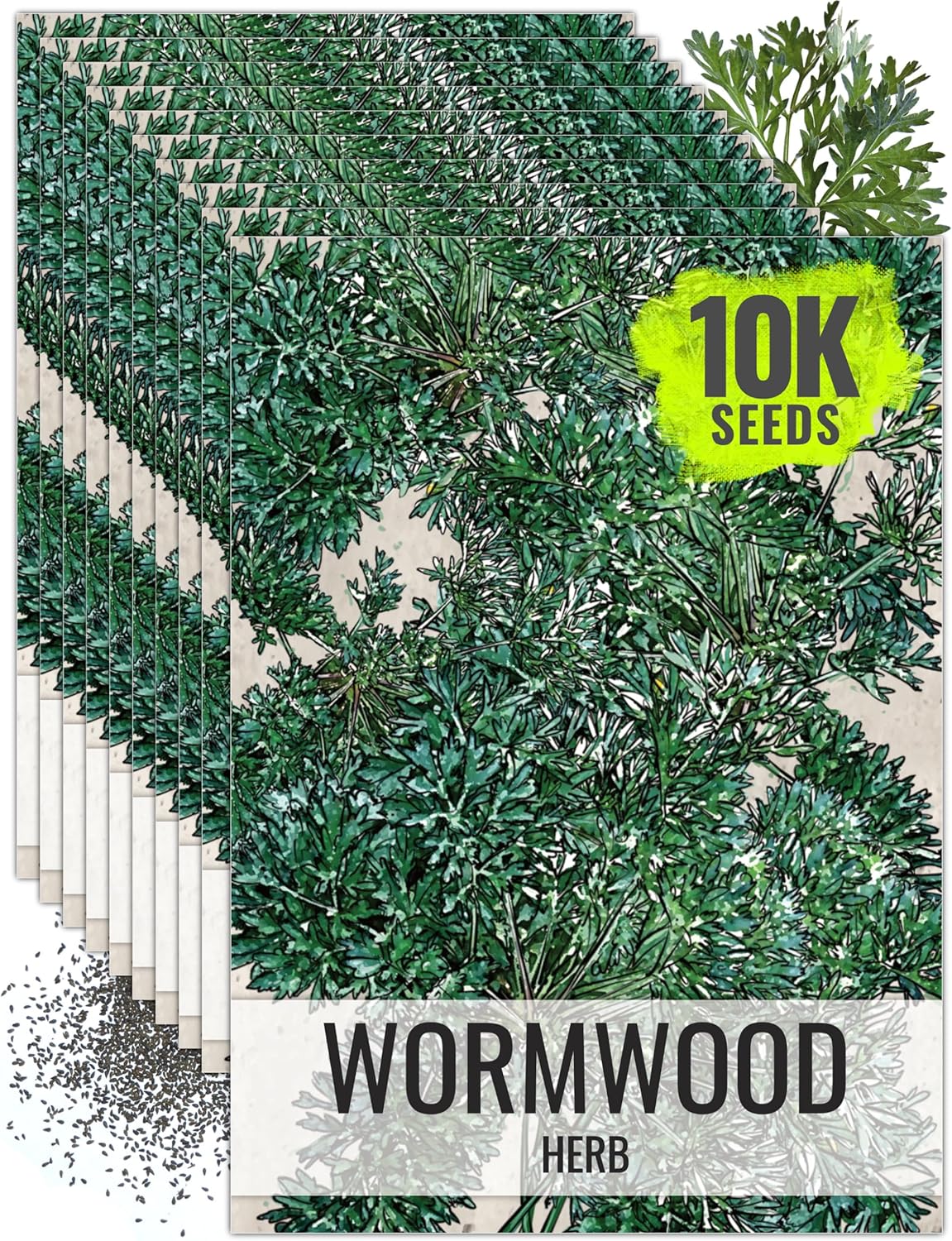 Seed Needs Wormwood Seeds for Planting - Non-GMO, Heirloom & Untreated Perennial Herb - Medicinal Herbs for Digestion & Gut Health (10 Packs)