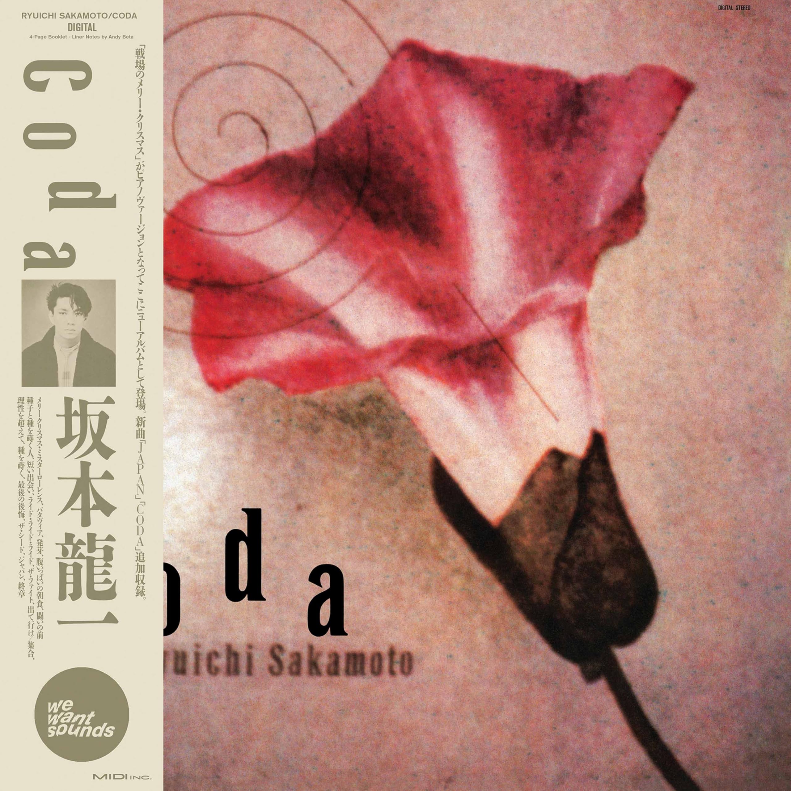 Wewantsounds Indigo Vinyl LP Coda
