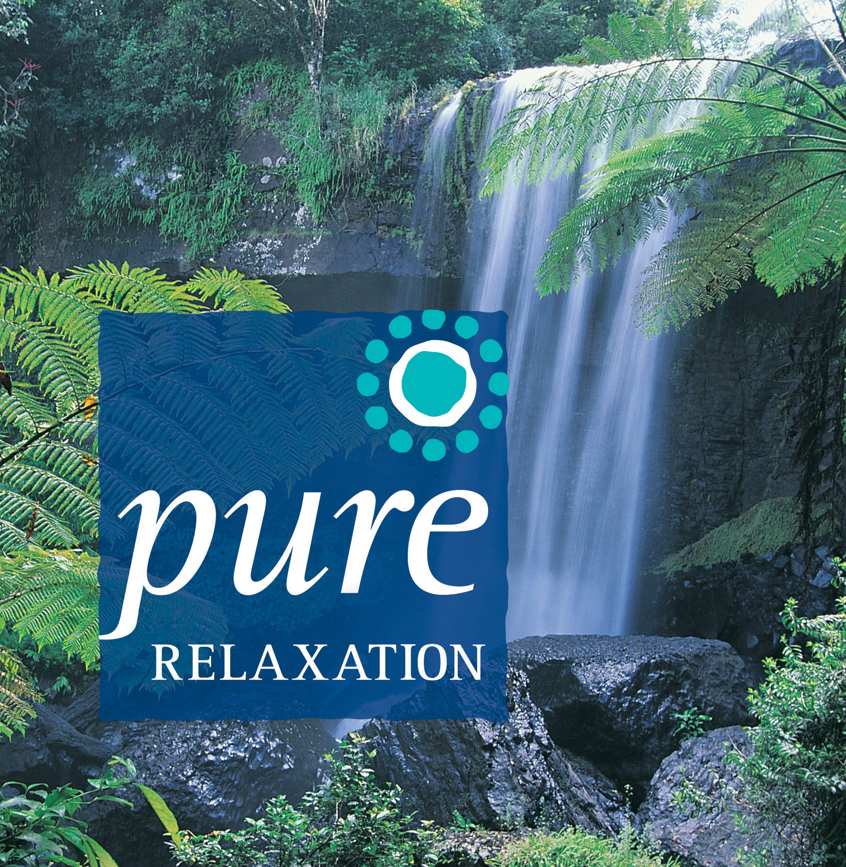 Pure Relaxation [Audio CD] Llewellyn