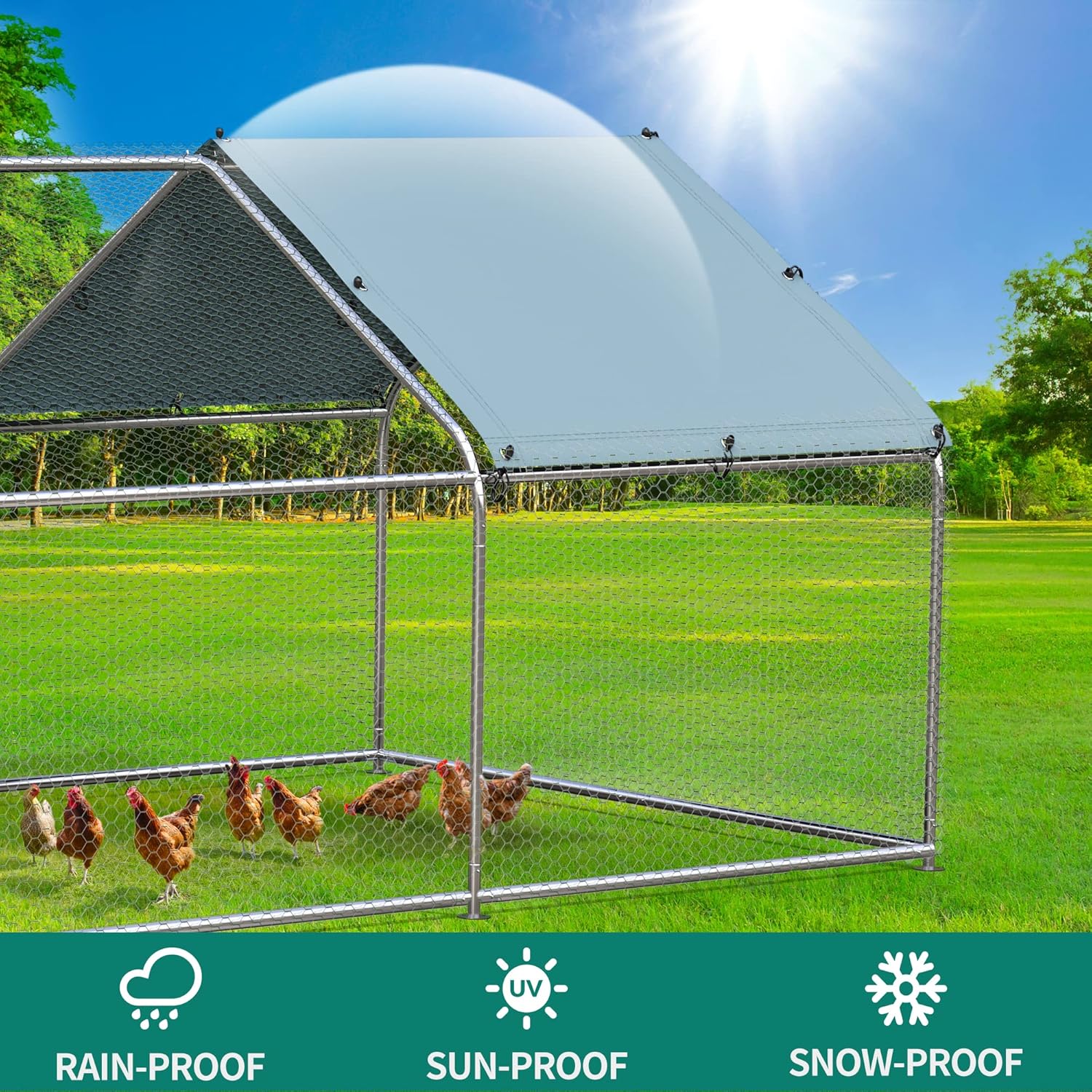 Image showing the chicken coop with ducks and chickens inside, labeled 'NOT ONLY FOR CHICKENS' with icons for puppy, cat, duck, and rabbit
