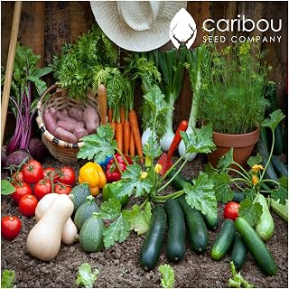 Save 30% Farmer's Harvest by Caribou Seed Company | Canadian Garden/Seed Kit | 25 Seed Packets | 15 Vegetables & 10 Herbs |Organic, Non-GMO | Made in Canada
