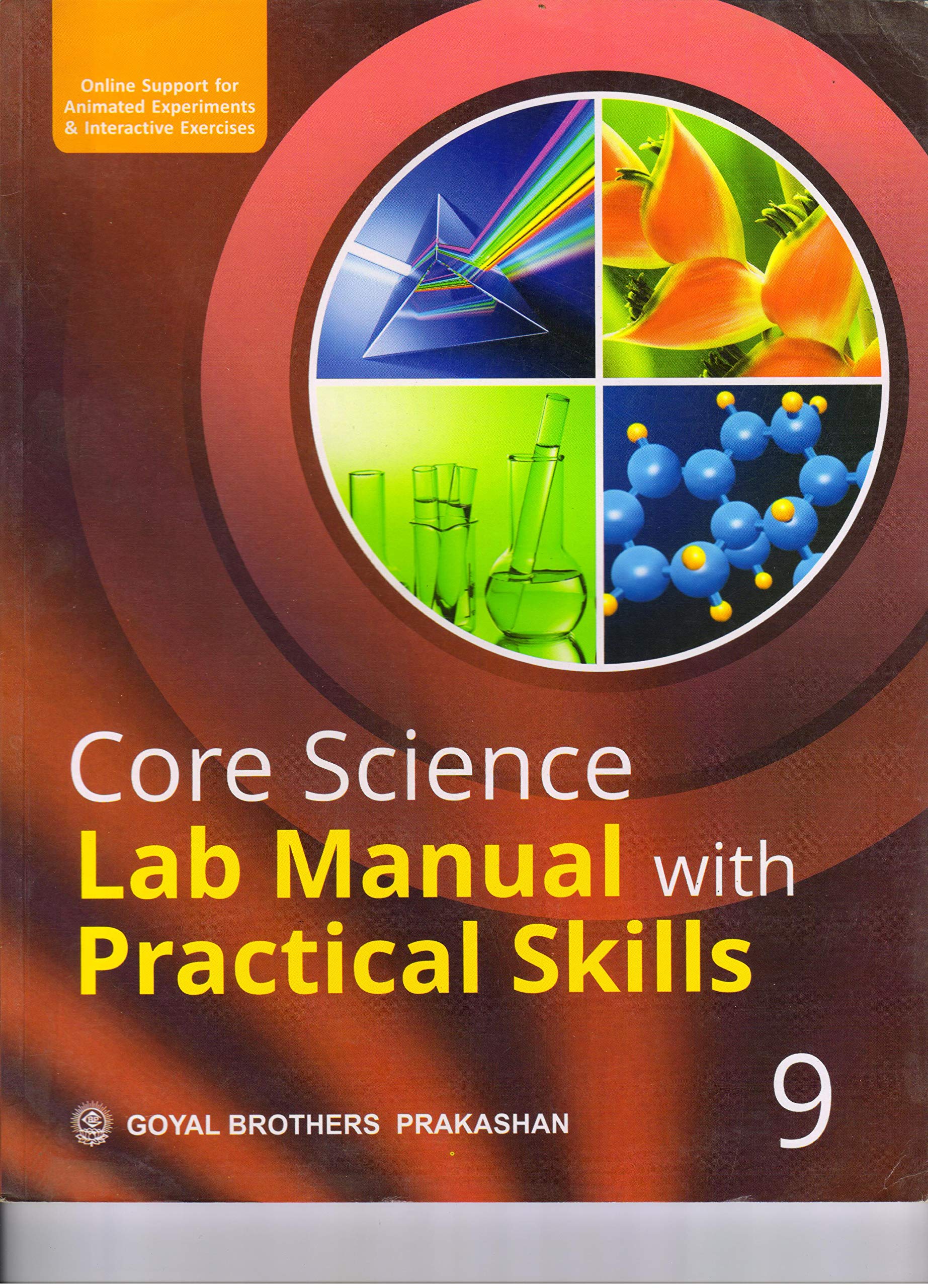 Core Science Lab Manual With Practical Skills For Class IX (With Online Support) [Paperback] V K Sally Paperback – 1 January 2018