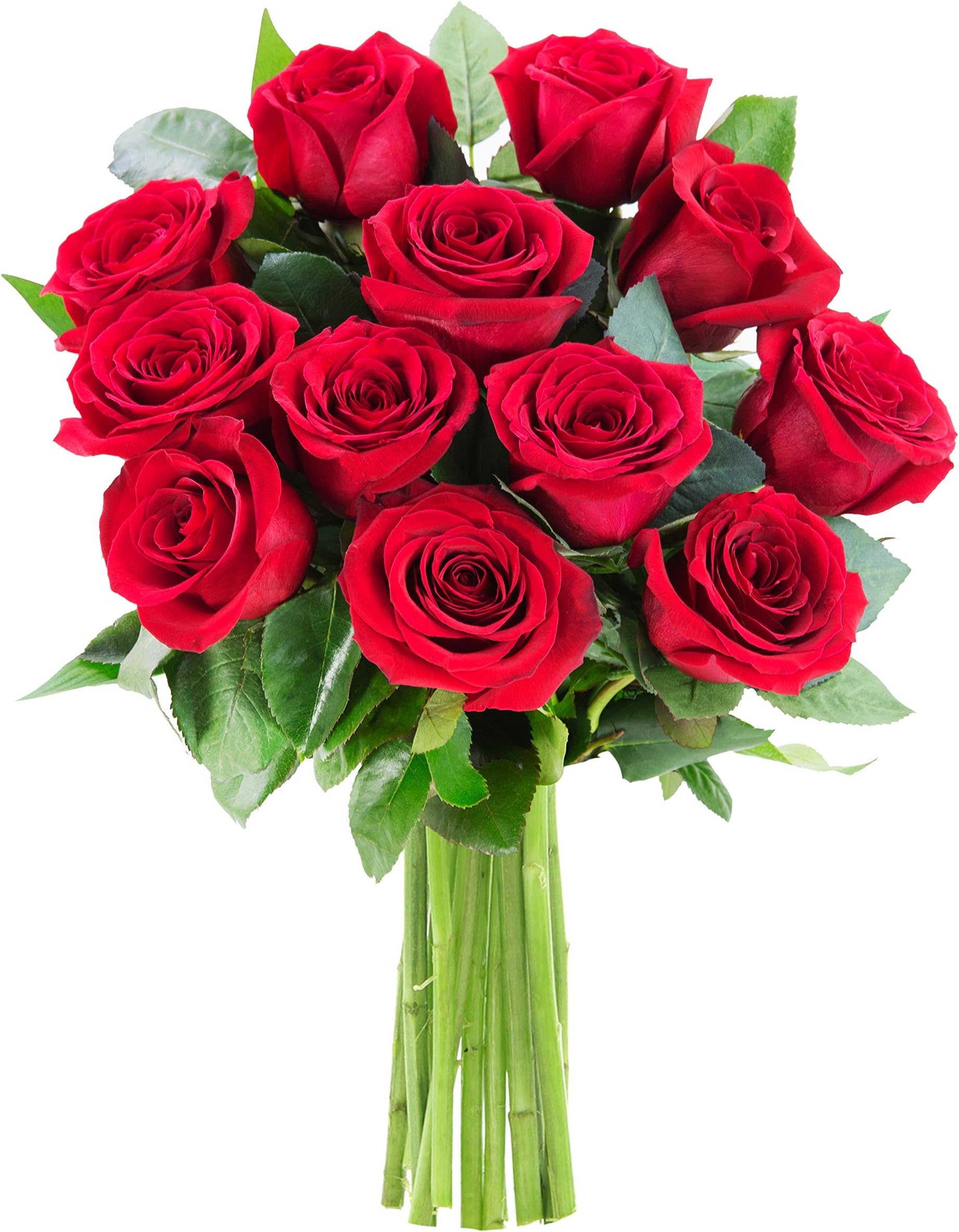 The Romantic Classic Bouquet of 12 Fresh Red Roses (Farm-Fresh, Long-Stem) - Fresh Flowers for Birthday, Valentine's & Mother's Day