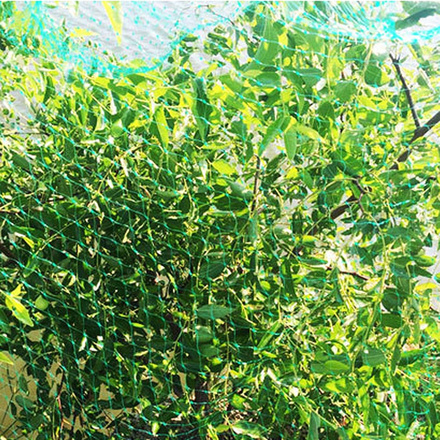 YHmall Garden Bird Netting, 13 x 26 Ft Reusable Nylon Garden Netting with 0.4 Inch Square Mesh - Fruit Tree Netting Protect Plants and Fruit Trees - from Birds and Wildlife with 50 Pcs Plant Ties : Patio, Lawn & Garden