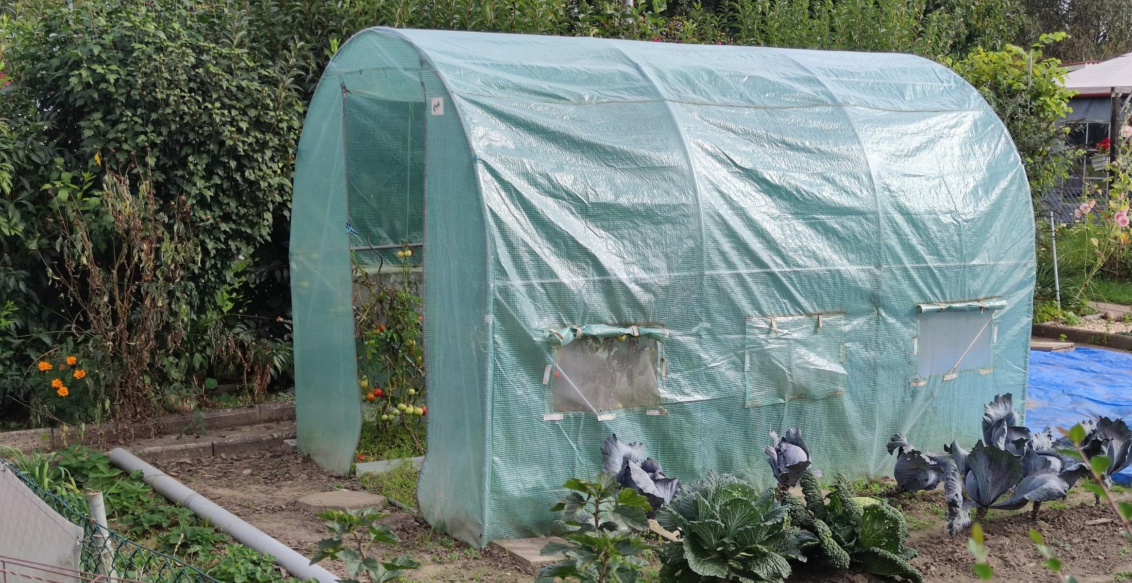 EraGreen Lámina de rejilla de 1,5 m x 10 m – 280 g/m², resistente al desgarro, con borde de clavo, lámina de jardín resistente a los rayos UV para tomates y viveros, lámina de tejido