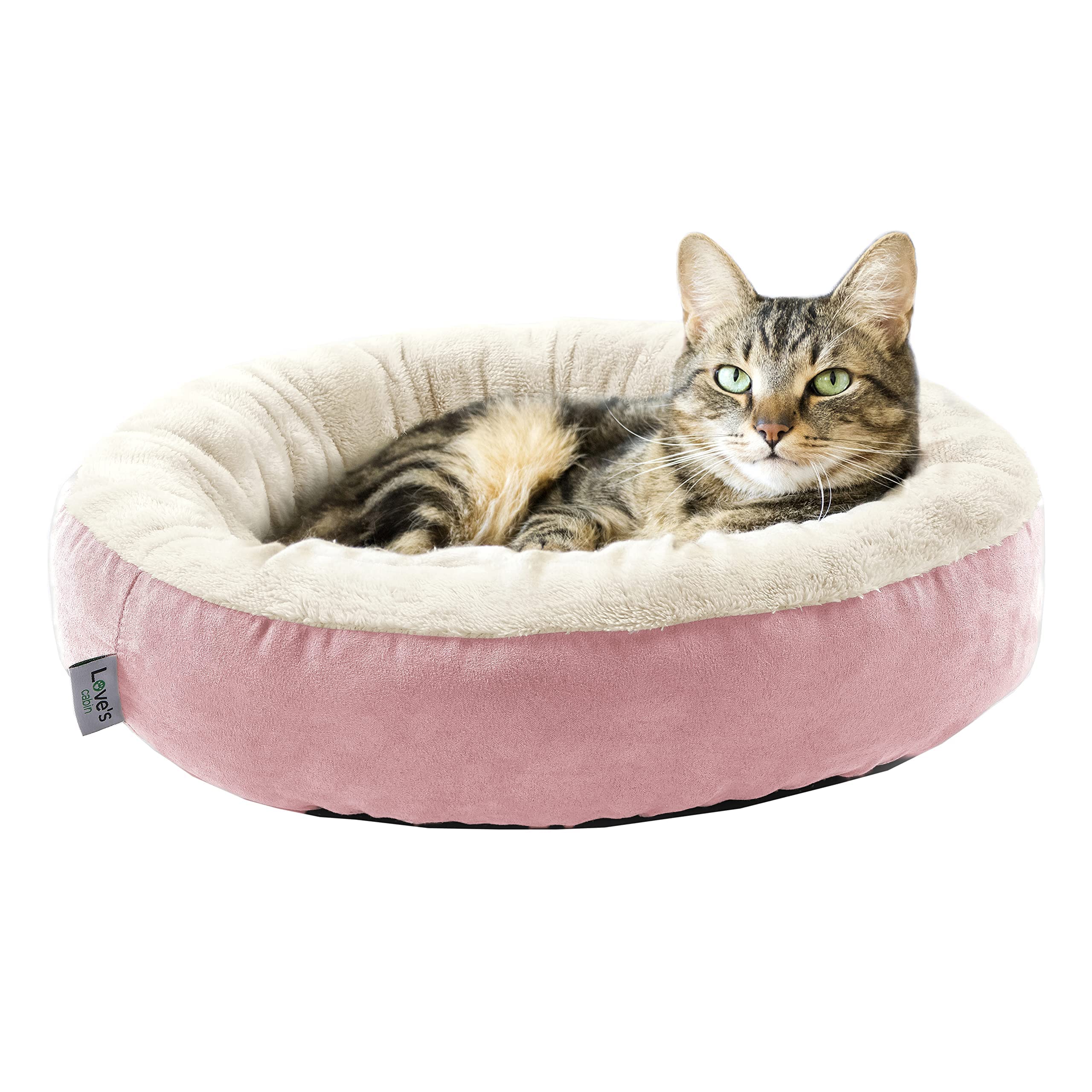 https://m.media-amazon.com/images/I/91c81eCGG-L.jpg