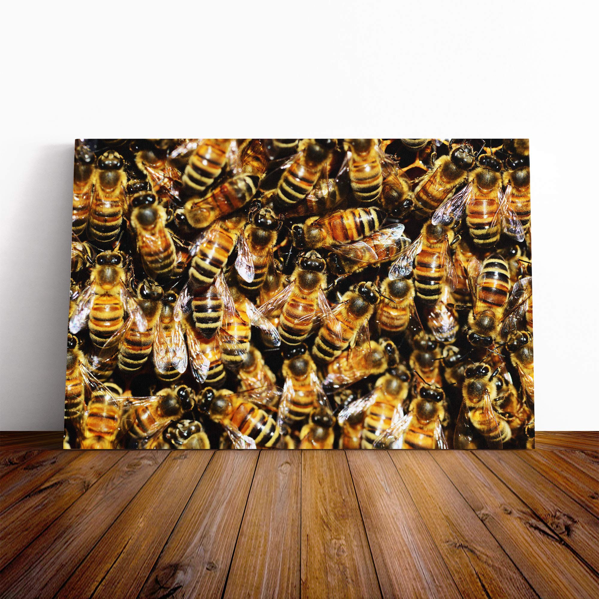 Honey Bee Canvas Print | Gallery Wrapped 30mm Frame Wall Art | 30x20 inches | Ready to Hang | Modern Animals Picture | Living Room Bedroom Lounge Office