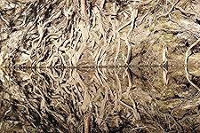 Review Image by Christopher Goodfellow VeritasMH370