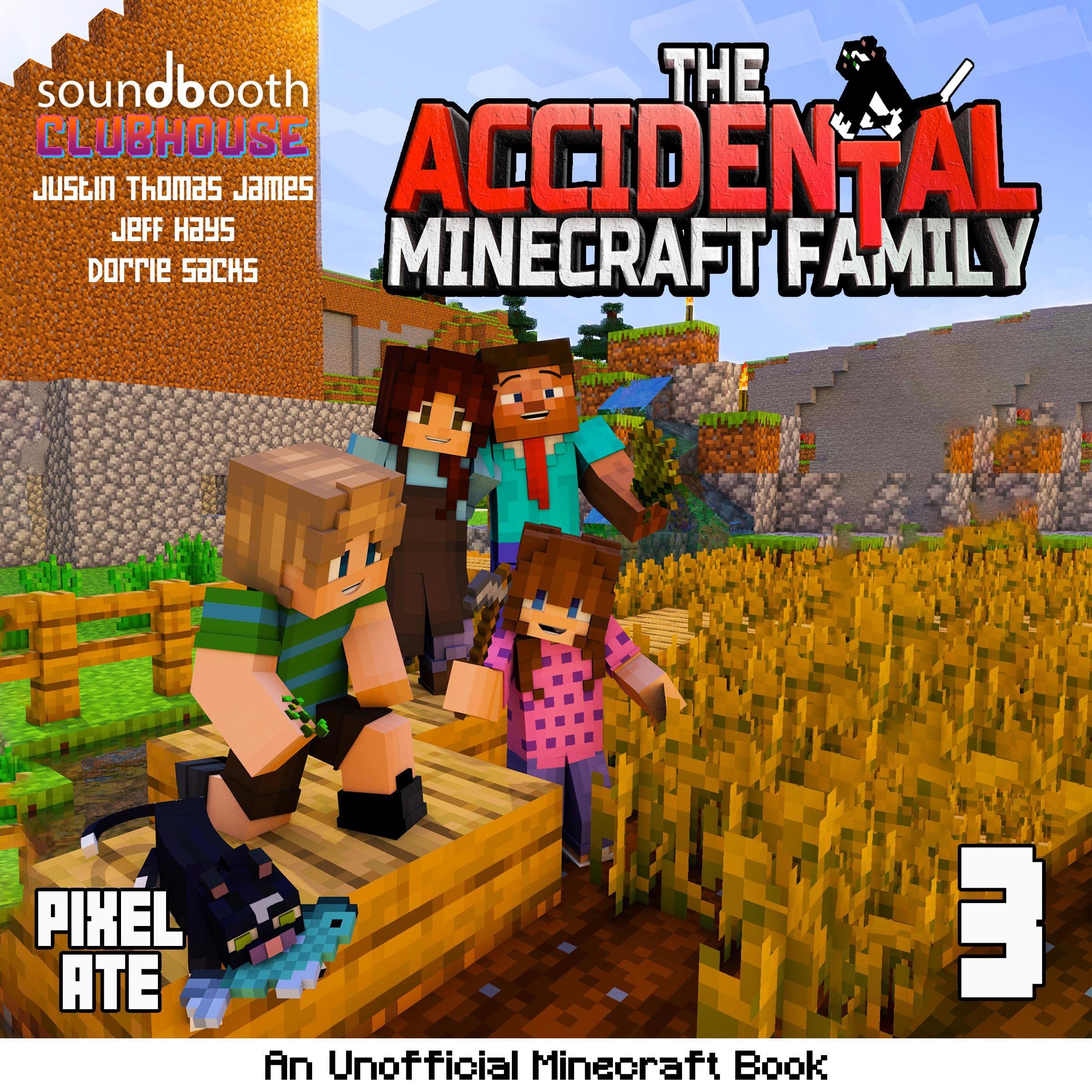 Cover art for The Accidental Minecraft Family: Book 3