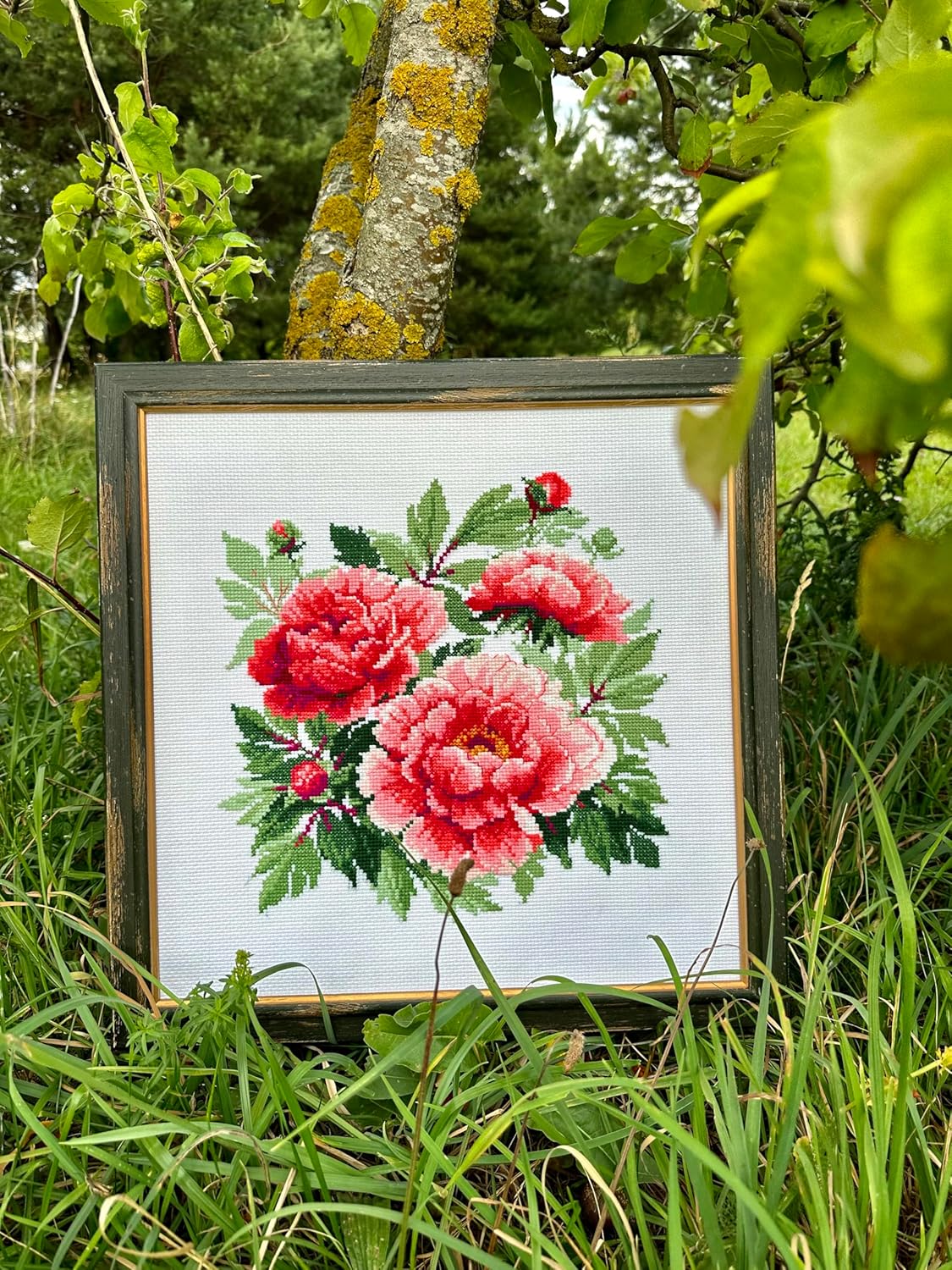 RIOLIS - Tree Peony 1854, Floral Cross Stitch Kits 15,75" x15,75, Cross Stitch Kits for Beginners & Advanced, Crossstitching Kits Adult, Counted Stitching Kits, Flowers Embroidery Kit