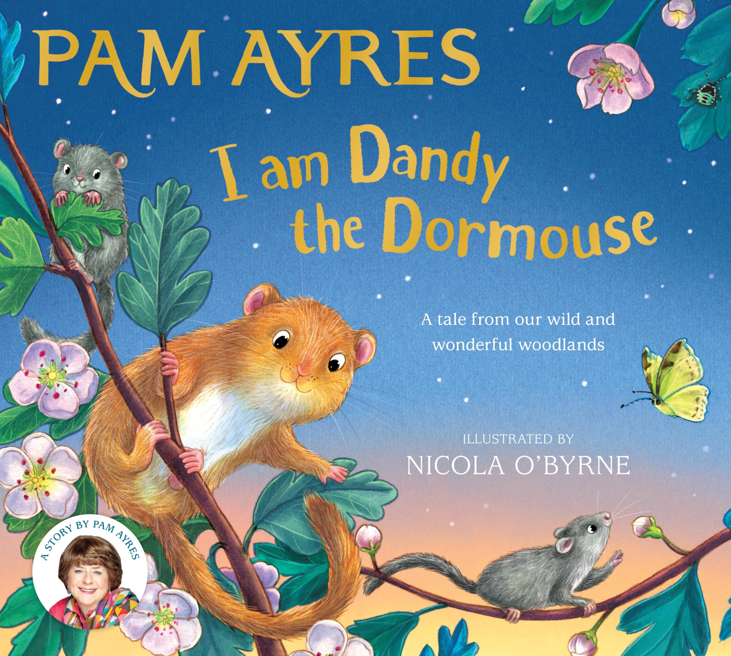 I am Dandy the Dormouse by Pam Ayres HARDBACK 9781529067187