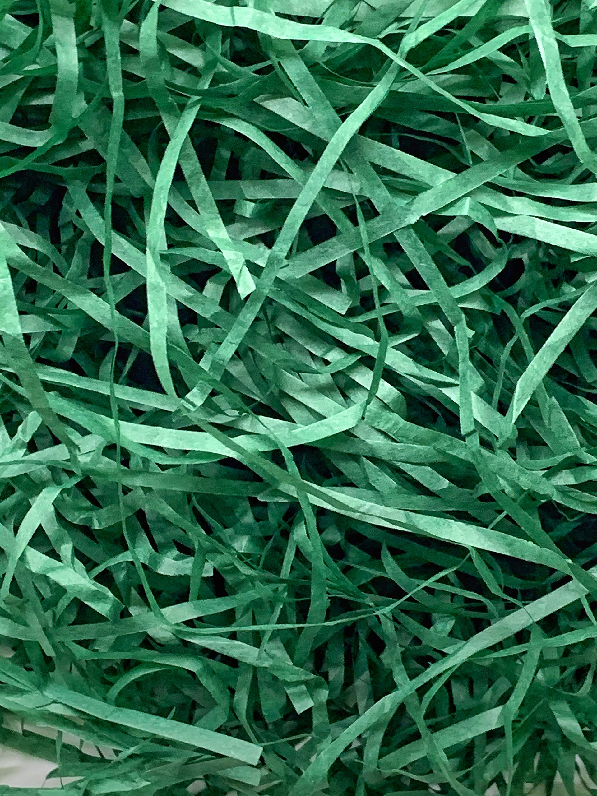 Eco Sarras Forest Green Shredded Paper for Gift Packaging, Box Filler, Basket Filler (100 Grams)
