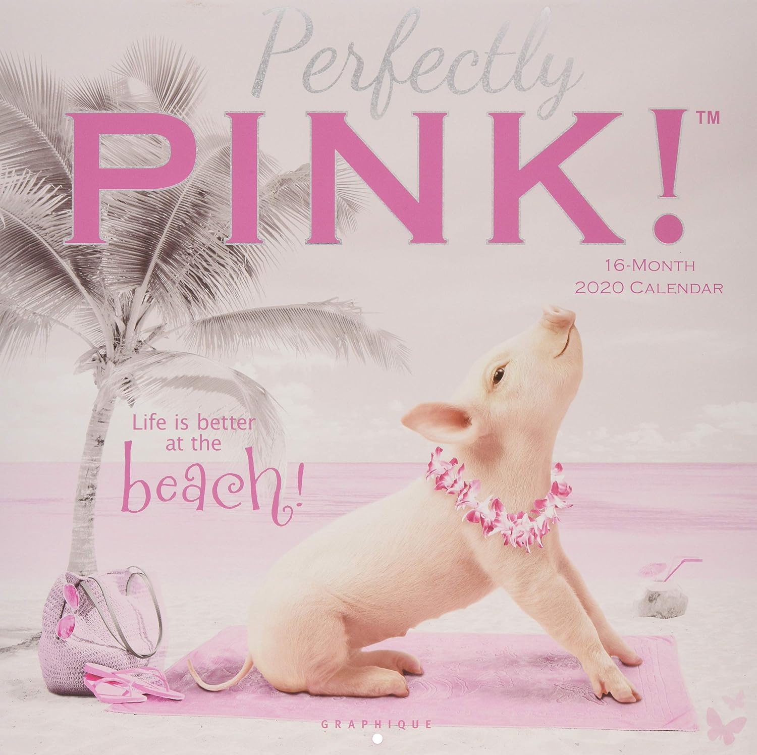 Graphique Pretty In Pink Hangable Office Wall Calendar - 16-Month 2020 Calendar, 12"x12" w/ 3 Languages, 4-Month Preview, & Marked Holidays