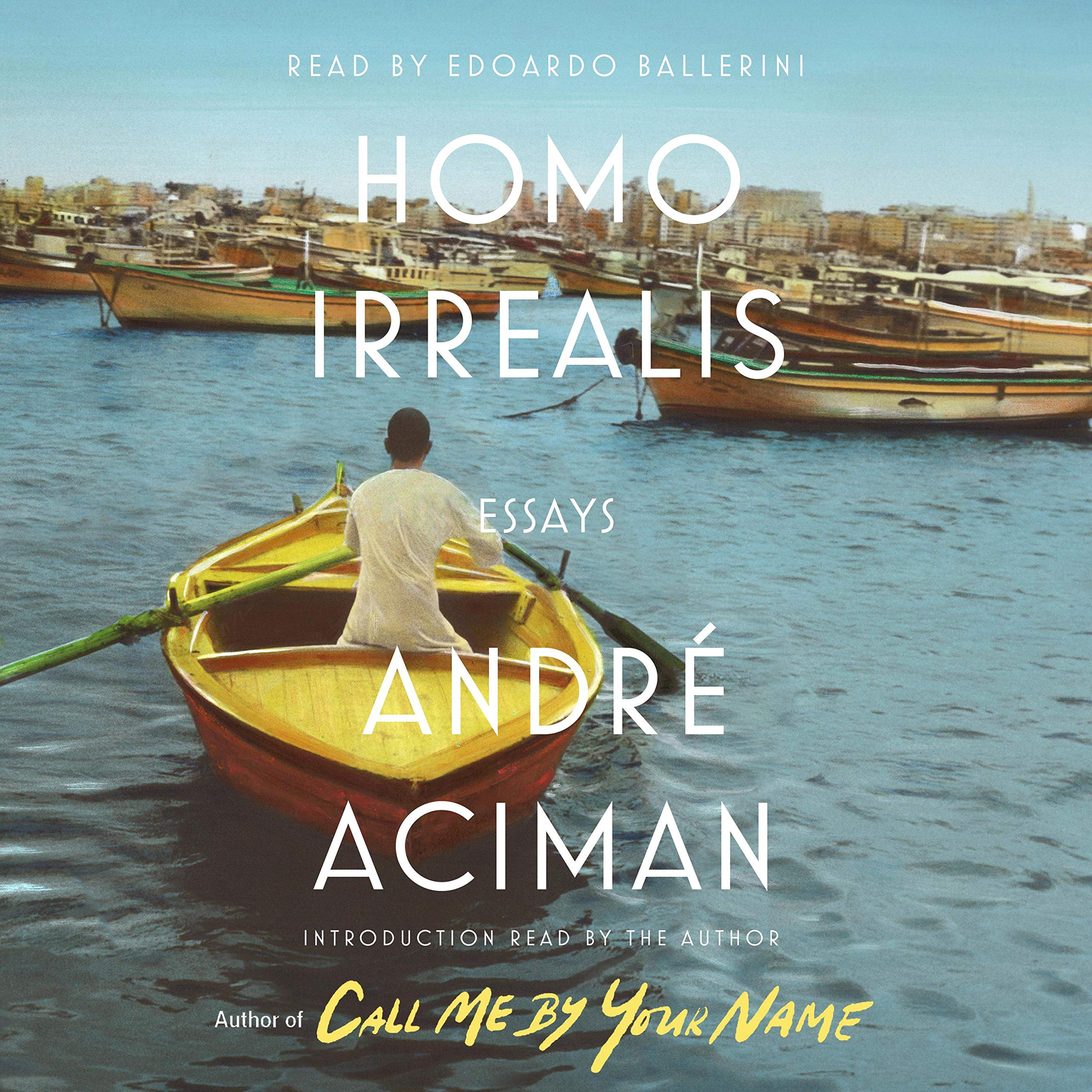 Cover art for Homo Irrealis