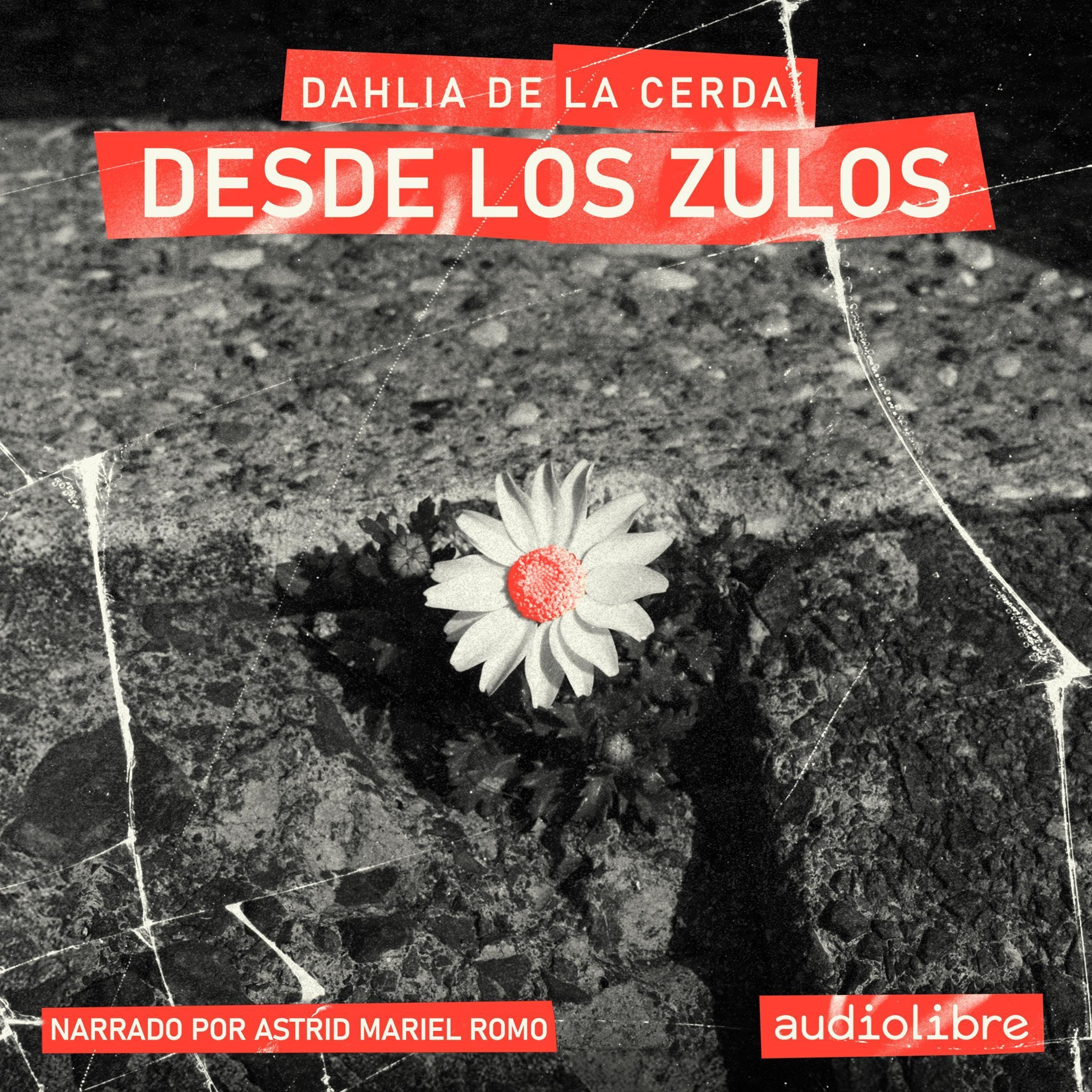 Cover art for Desde los zulos