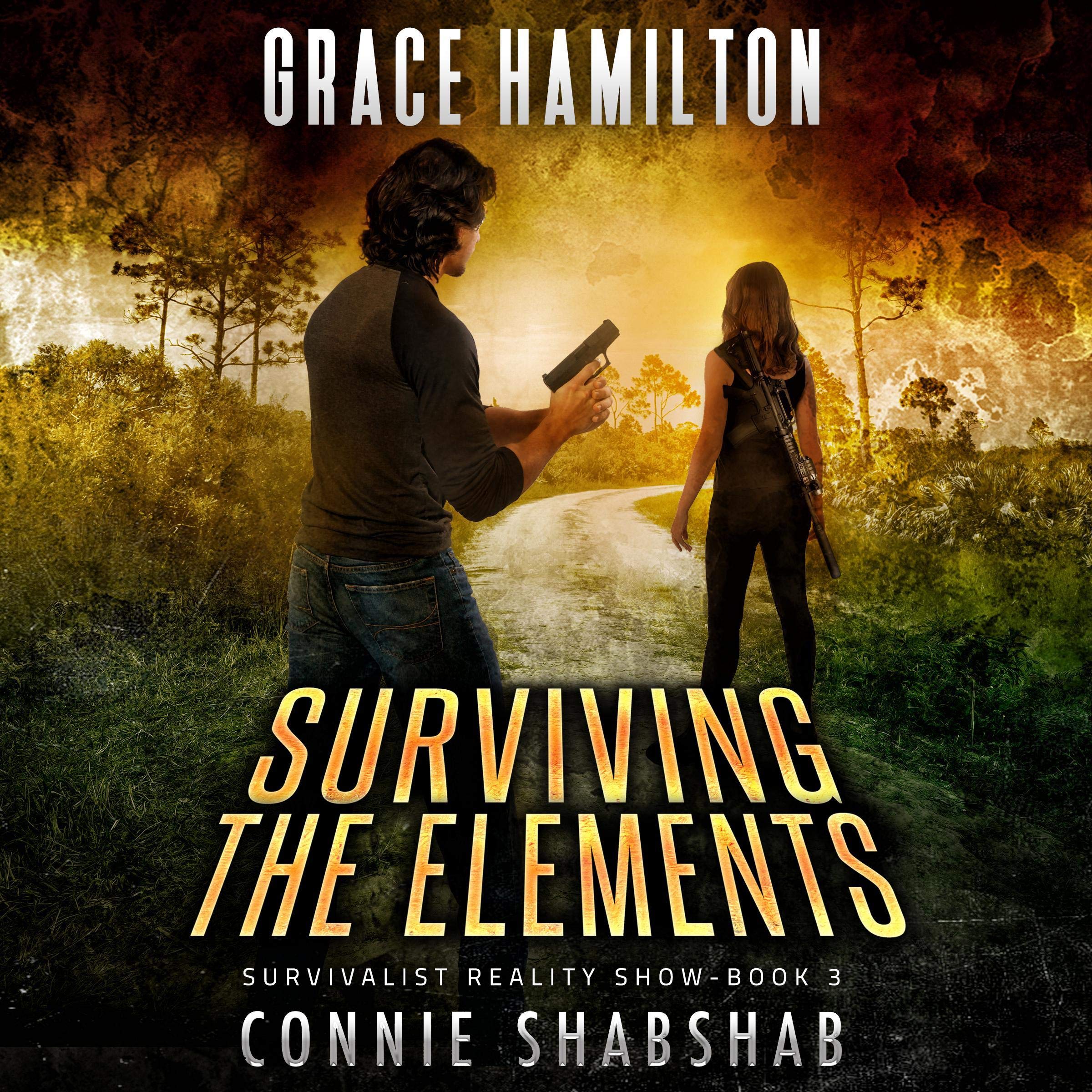 Cover art for Surviving the Elements