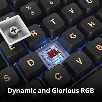 Montech MKey TKL Mechanical Gaming Keyboard: Customizable RGB LED, Premium MDA Profile PBT Keycap, Hot-Swappable Gateron G Brown Pro 2.0 Pre-lubed Switches, Osaka Castle Theme, Darkness (MK87DB)