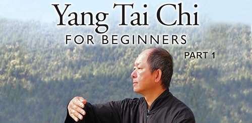 Yang Tai Chi for Beginners Part 1 – vue 7