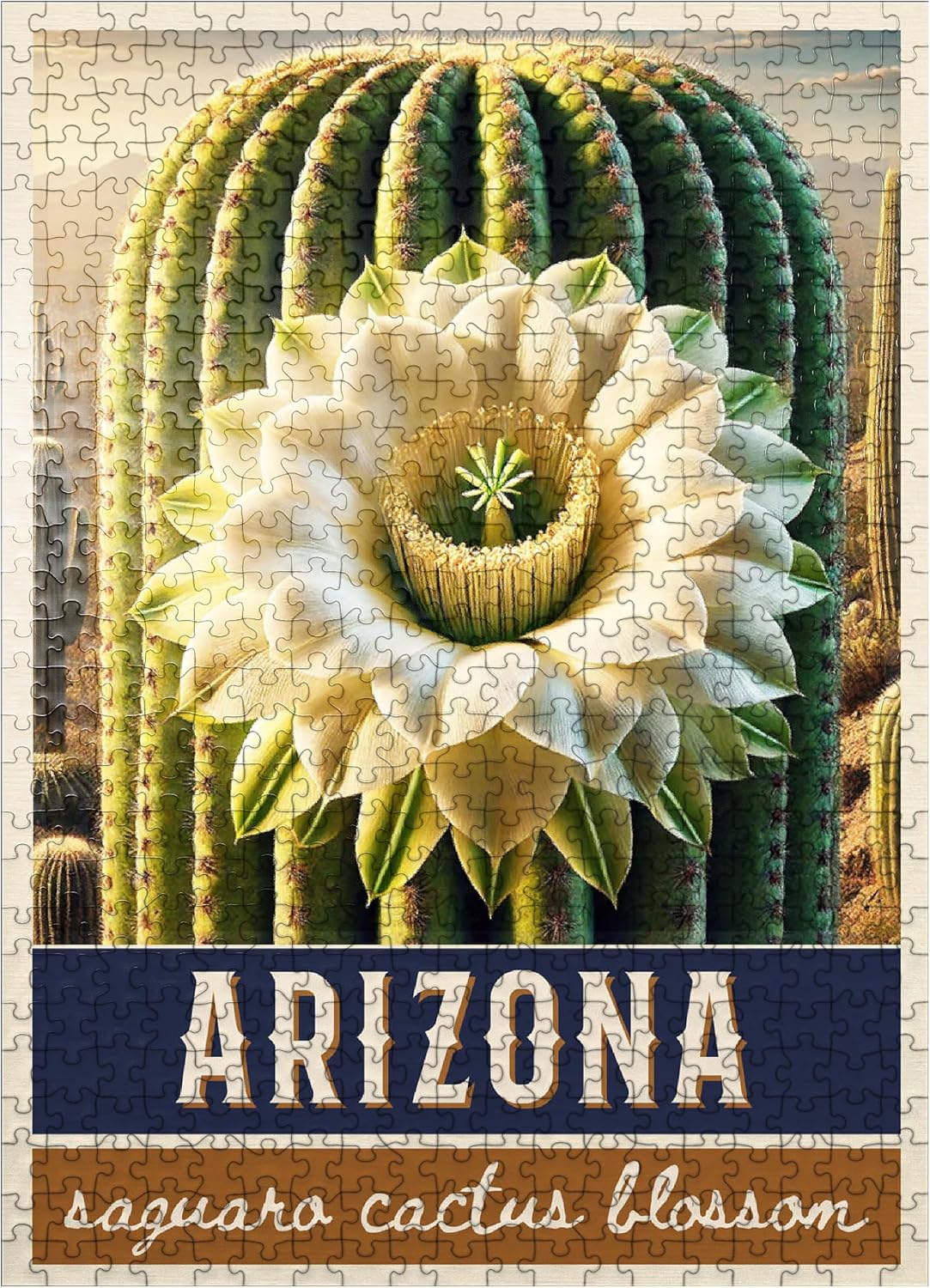MyPuzzle State Flowers Series: Arizona, Saguaro Cactus Blossom - Premium 500 Piece Jigsaw Puzzle for Adults