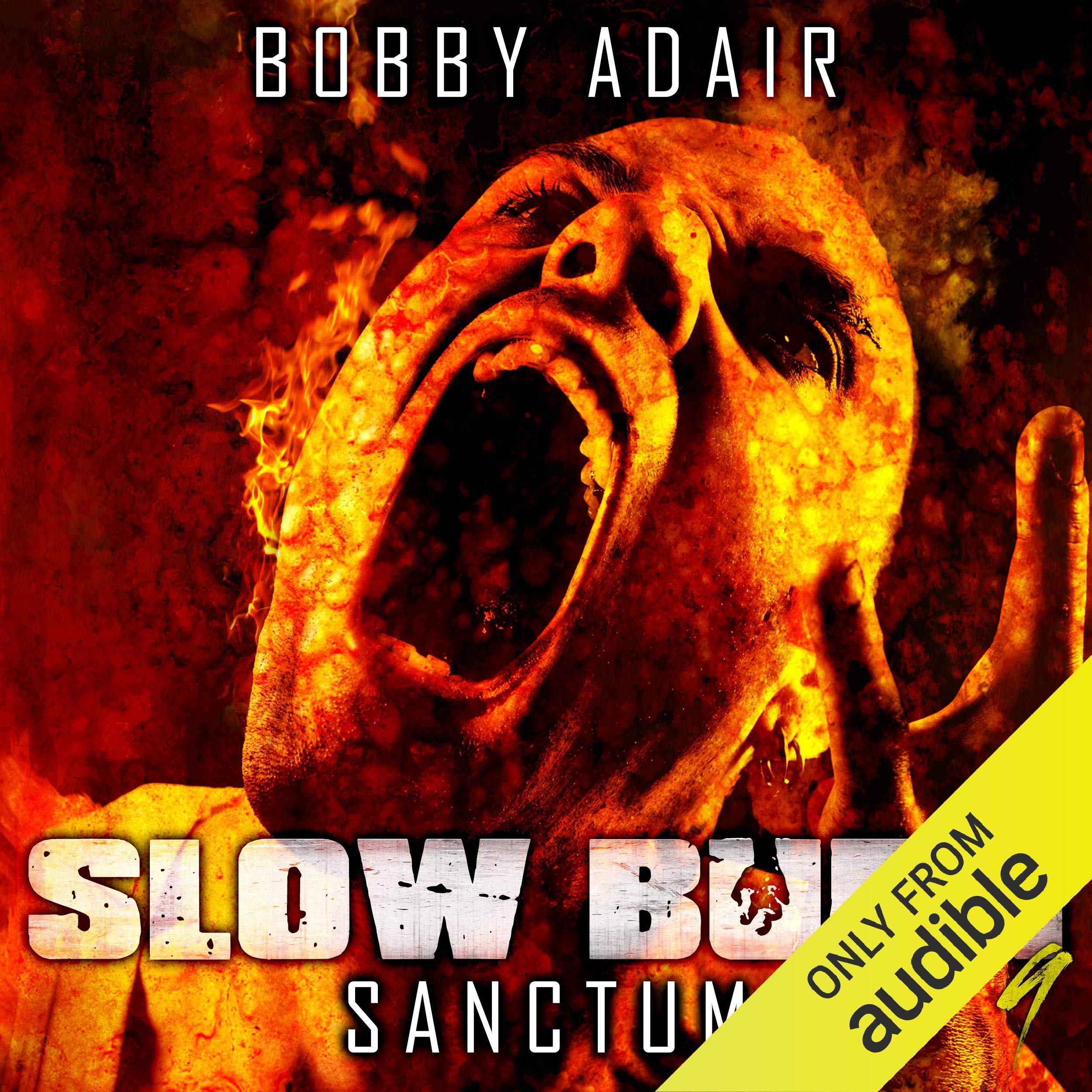 Cover art for Sanctum