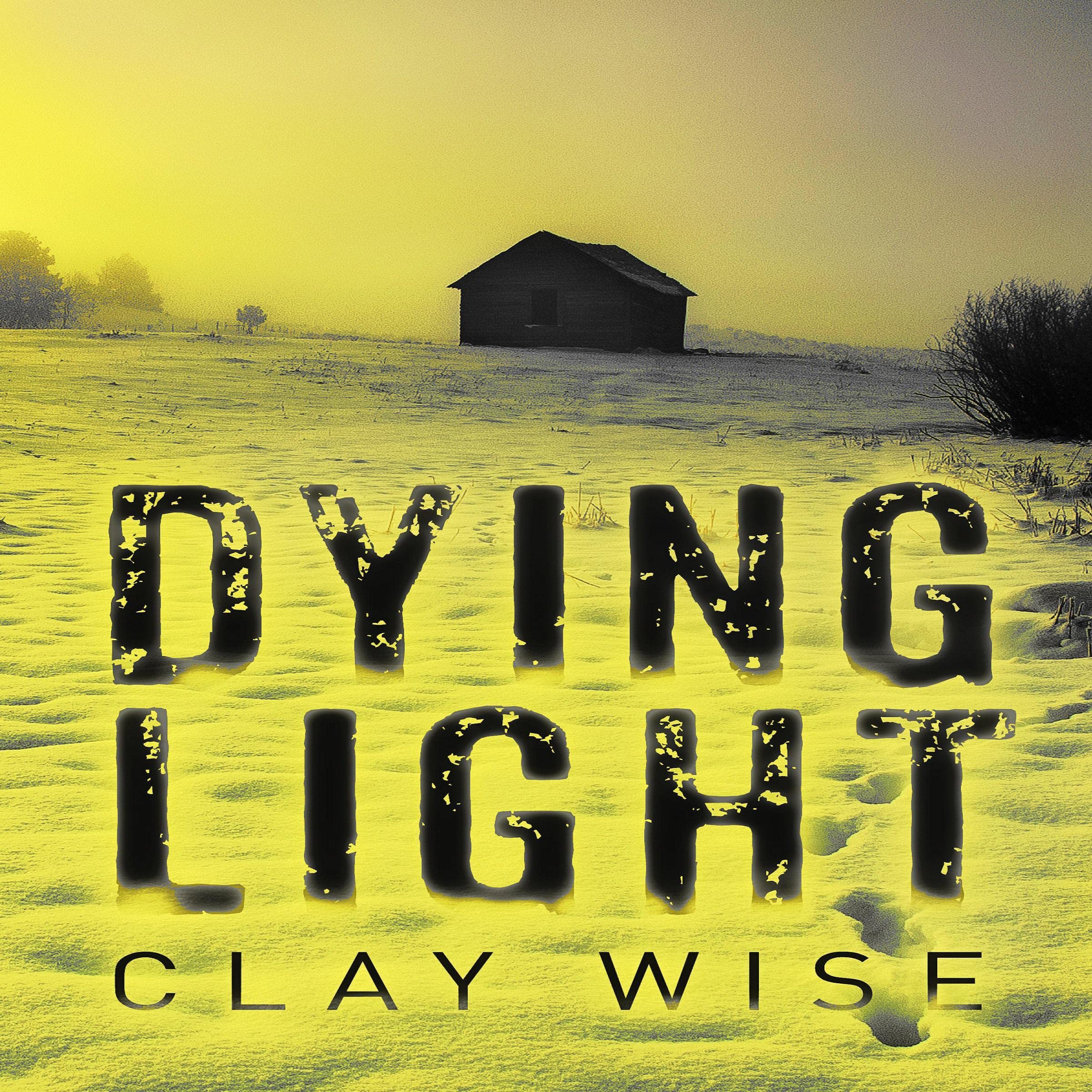 Cover art for Dying Light
