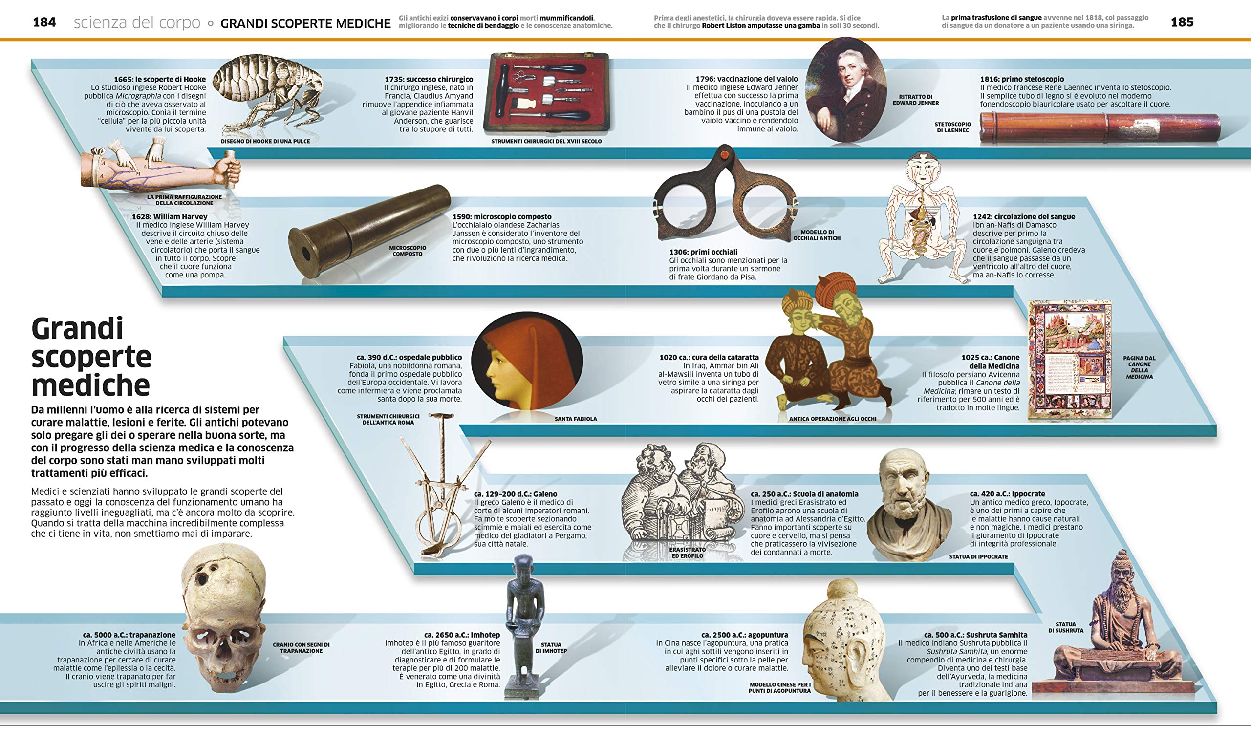 La grande enciclopedia del corpo umano. Ediz. a colori