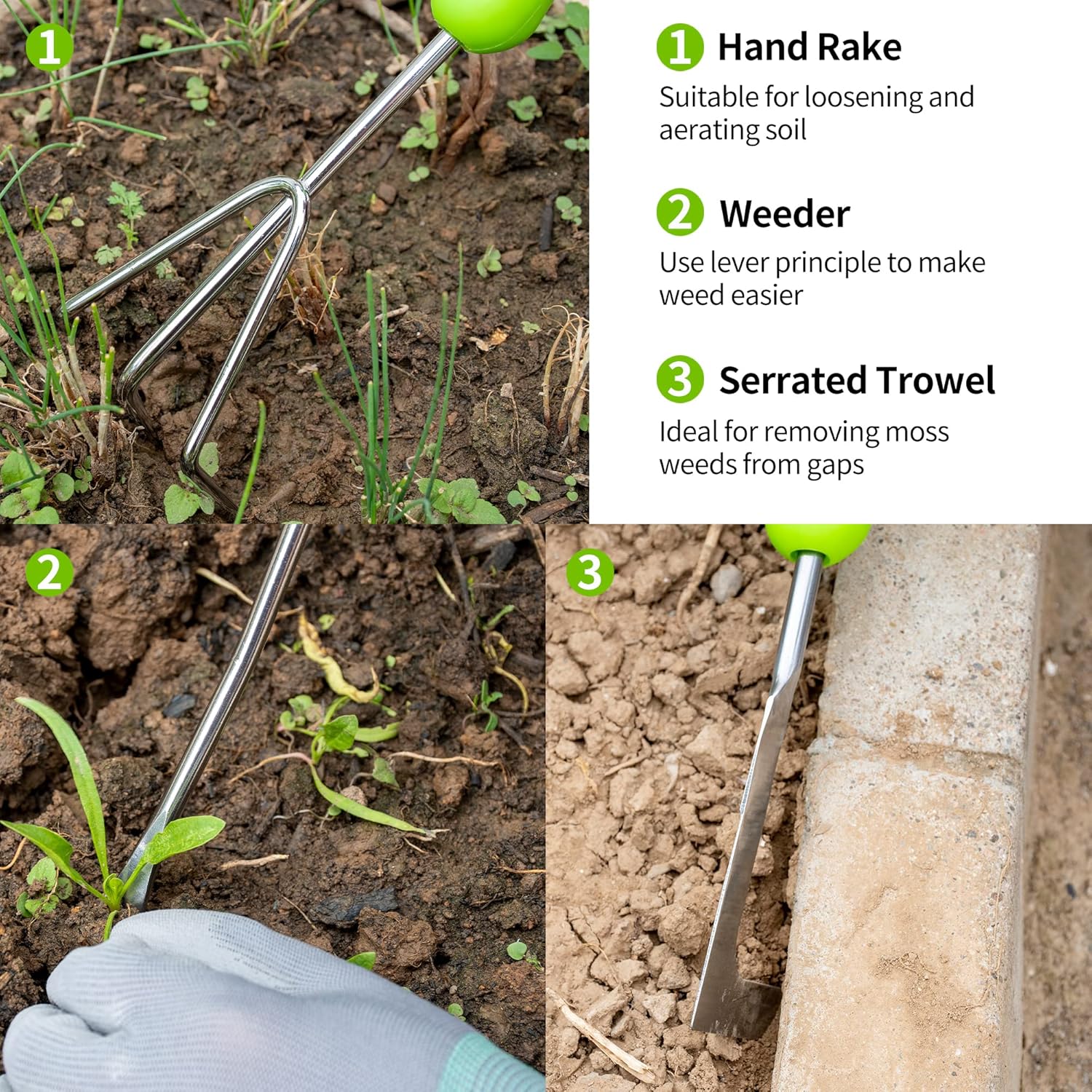 Buy GTSHOMO Garden Tools Set, 9 Pcs Stainless Steel Heavy Duty