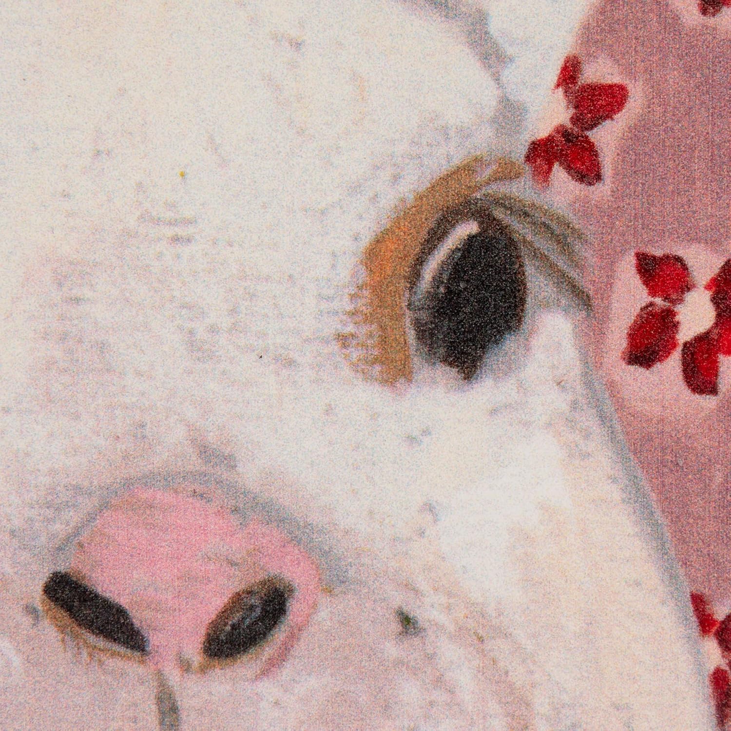 Creative Co-Op Wood Framed Glass Wall Décor with Rabbit Image and Flowers, Multicolor